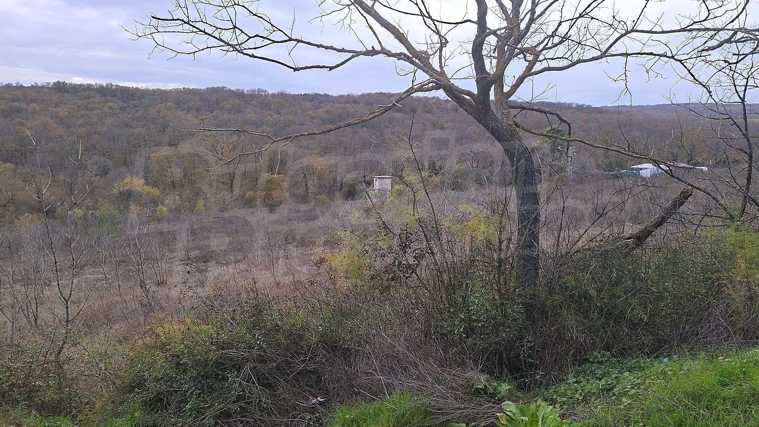 Gallery Picture 6