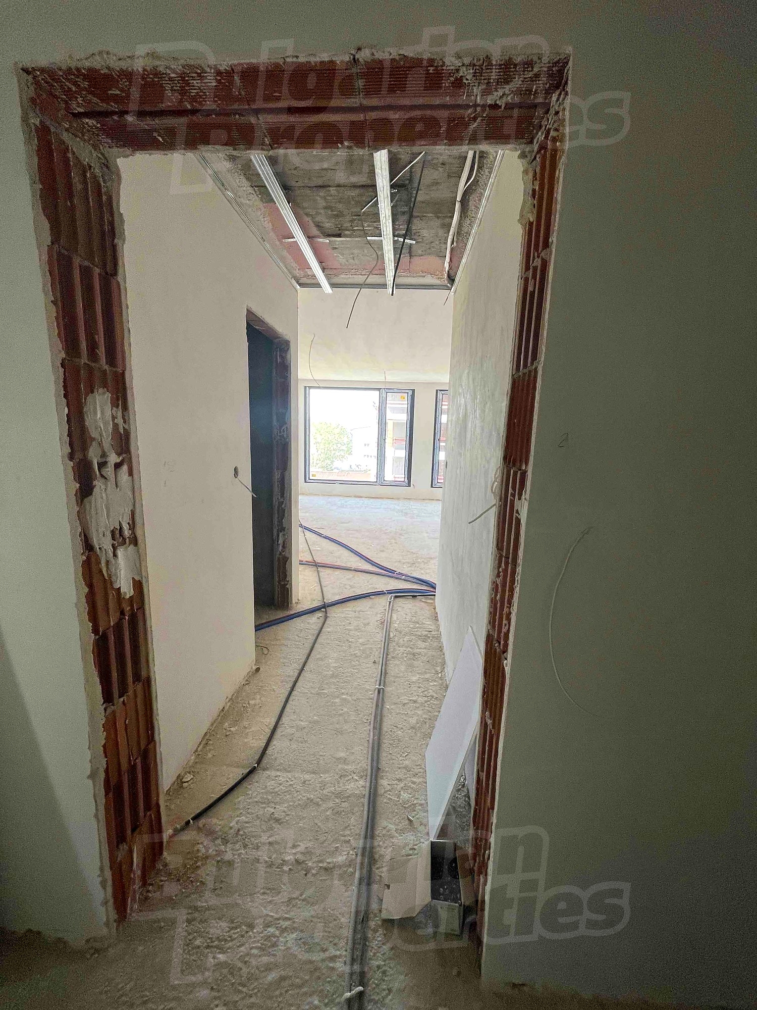 Gallery Picture 11