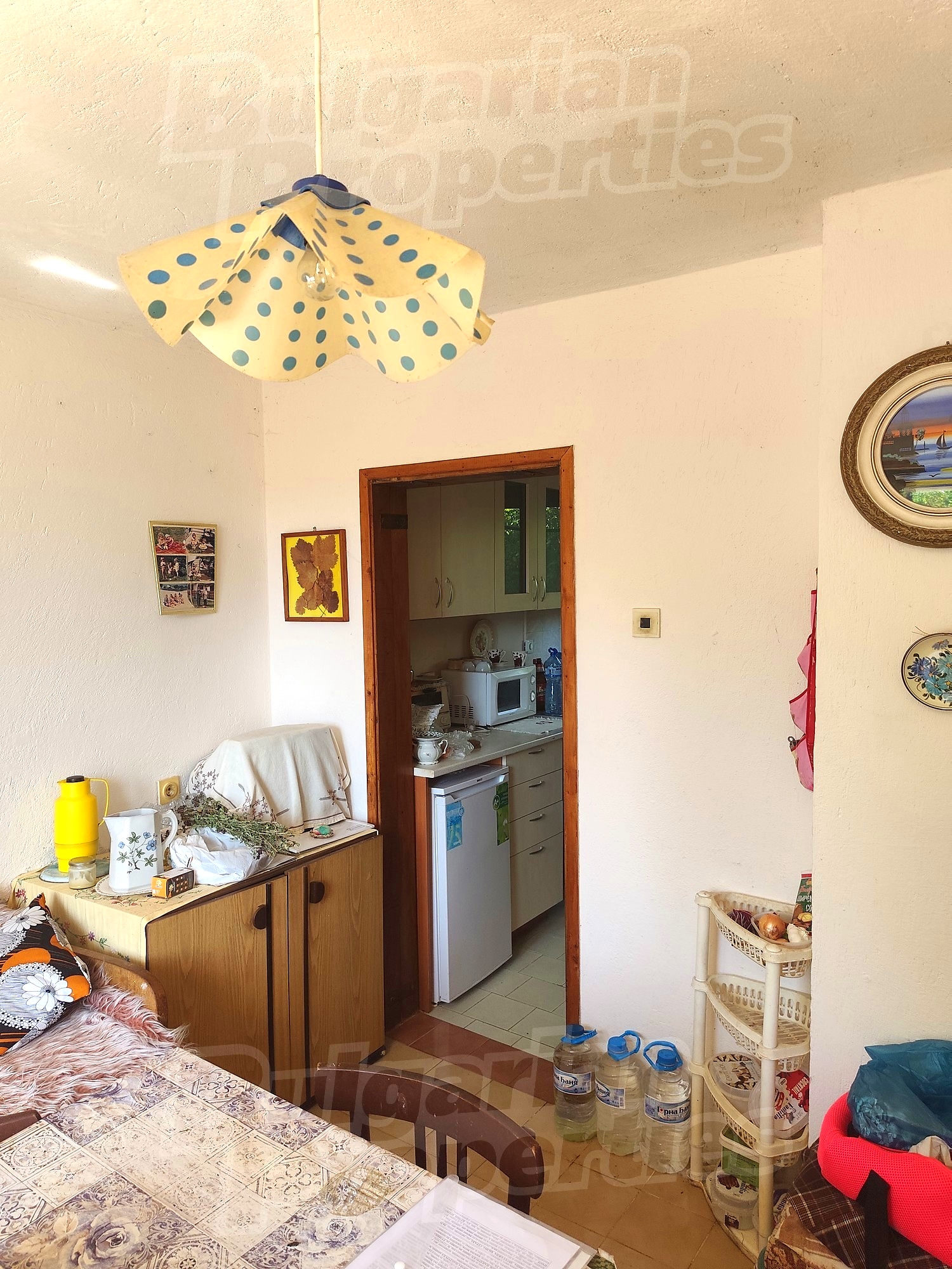 Gallery Picture 16