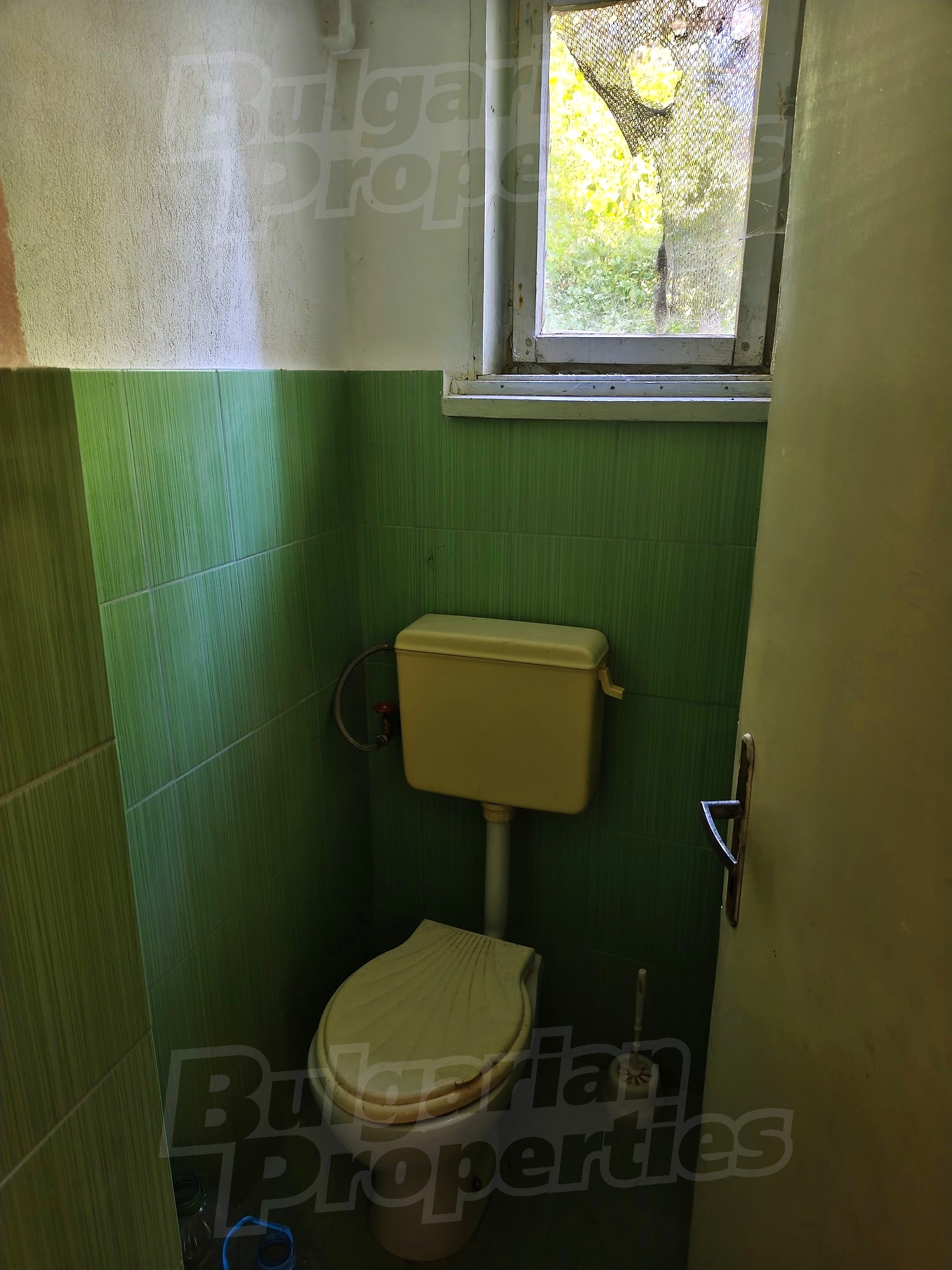 Gallery Picture 22
