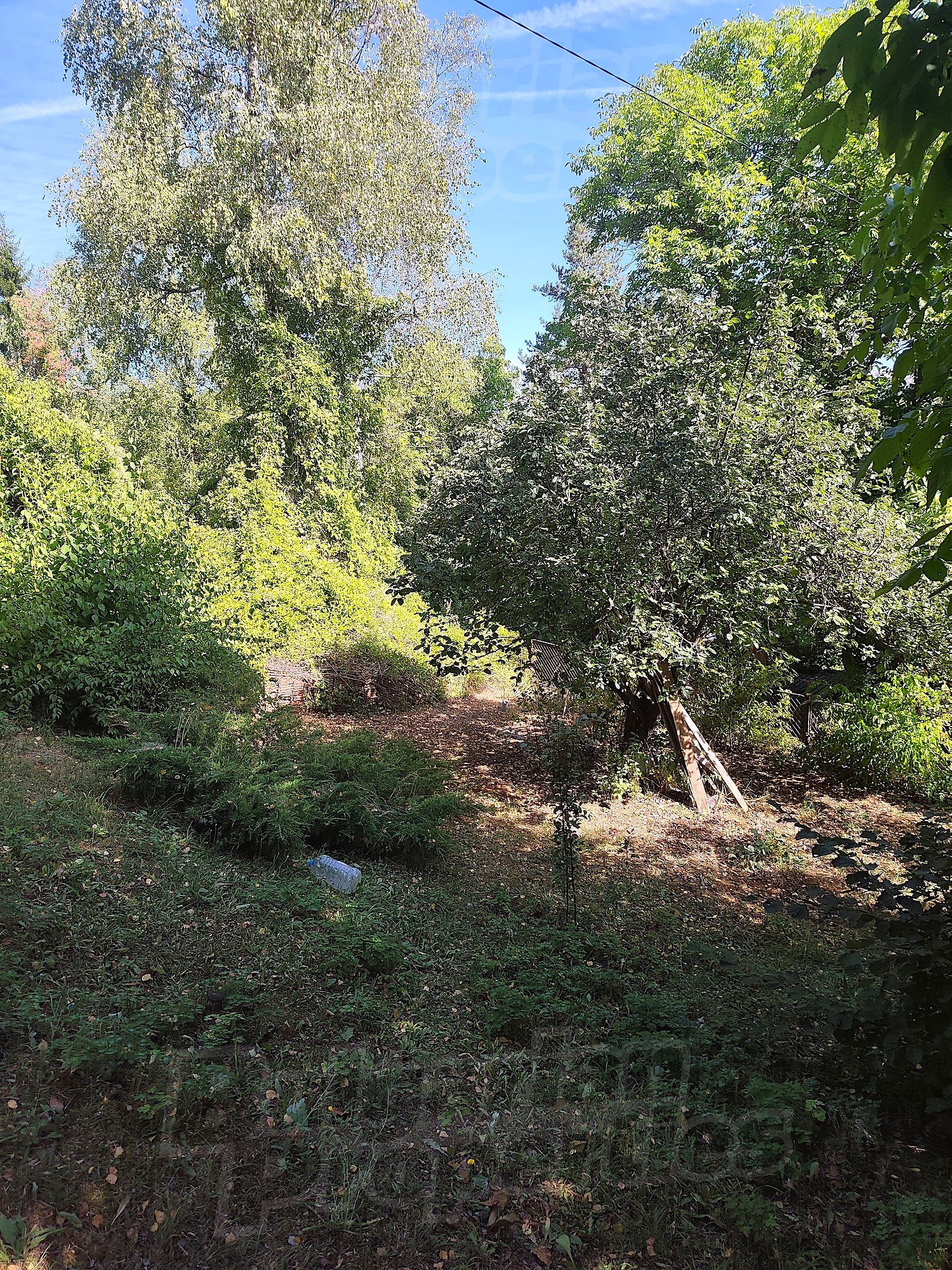 Gallery Picture 43