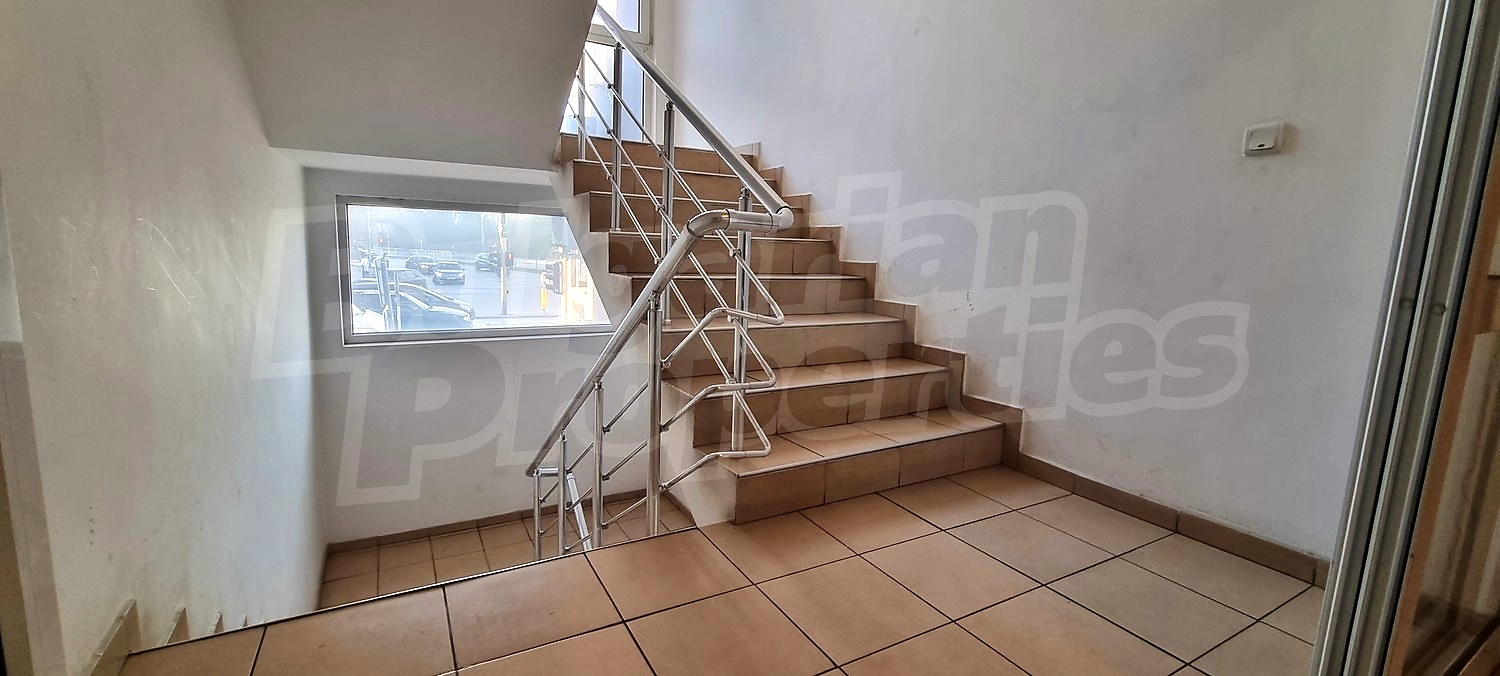 Gallery Picture 16