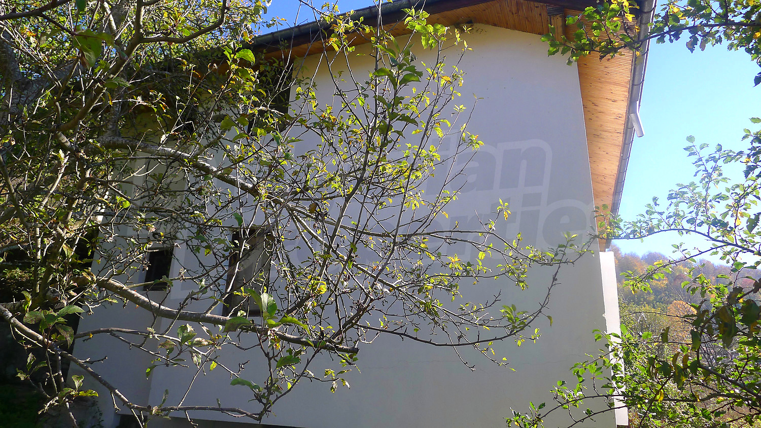 Gallery Picture 8