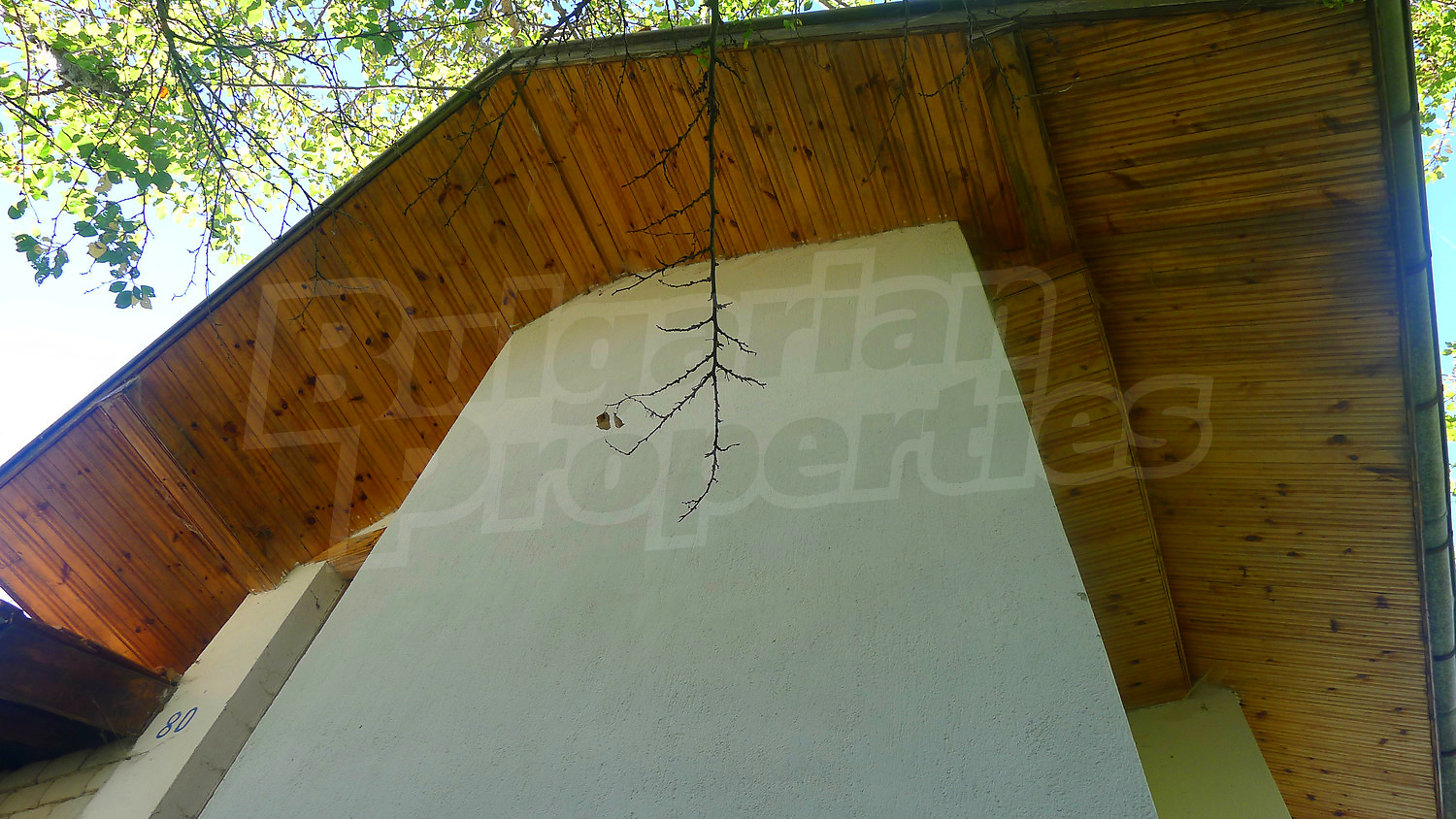 Gallery Picture 15