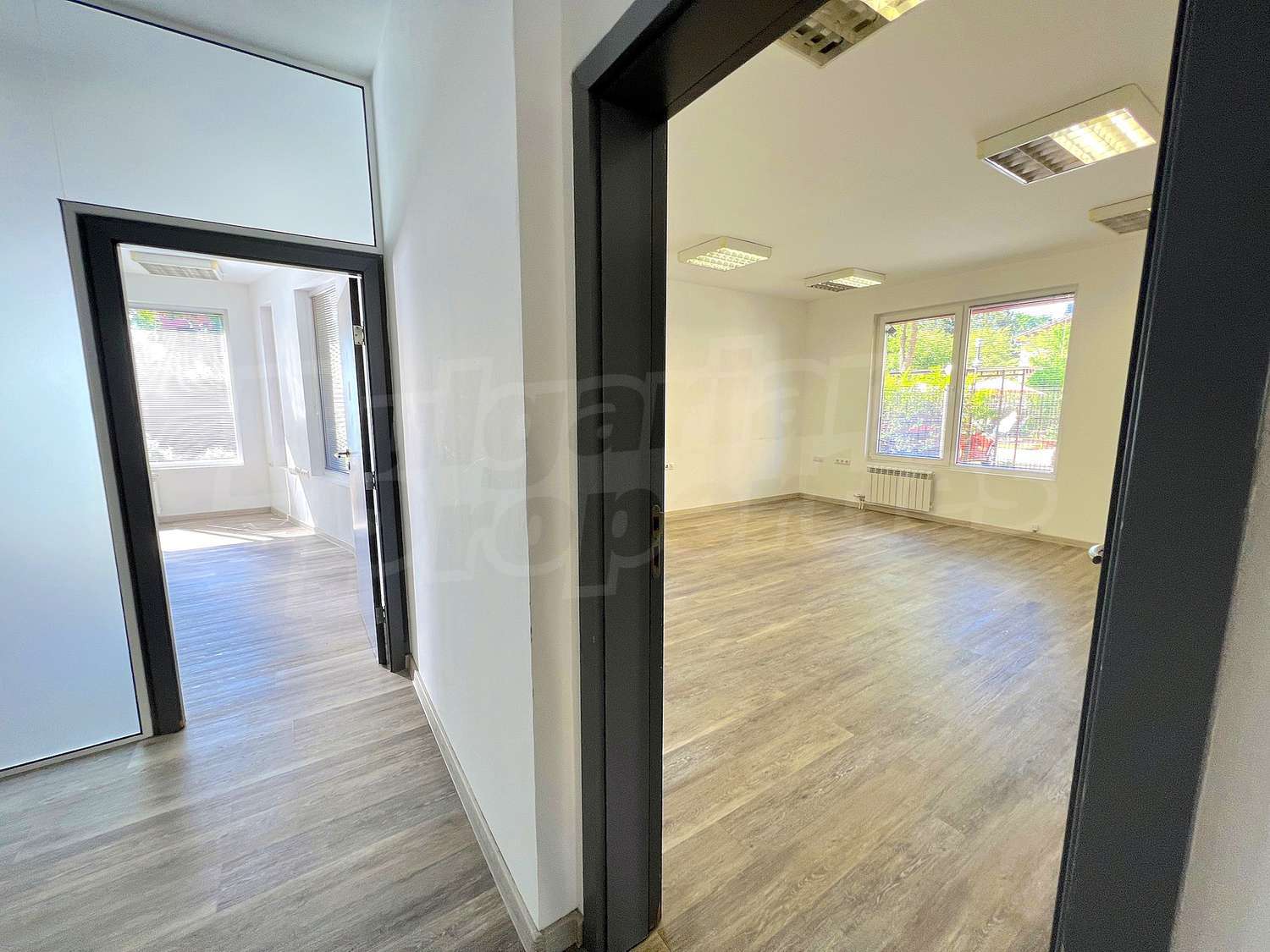 Gallery Picture 35