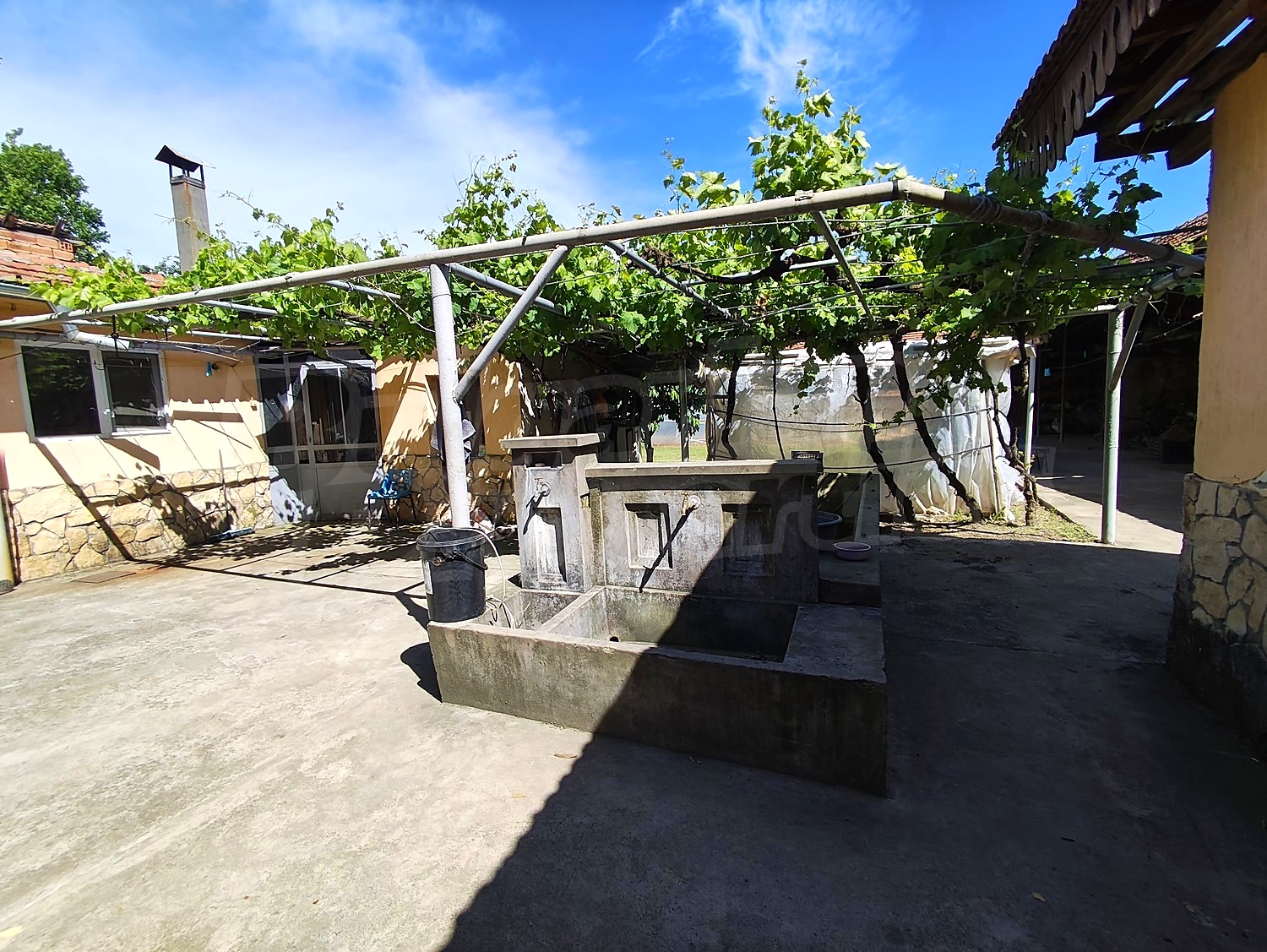 Gallery Picture 27