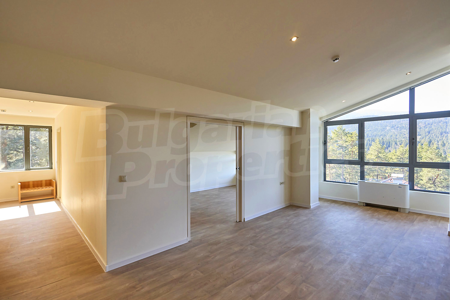 Gallery Picture 25
