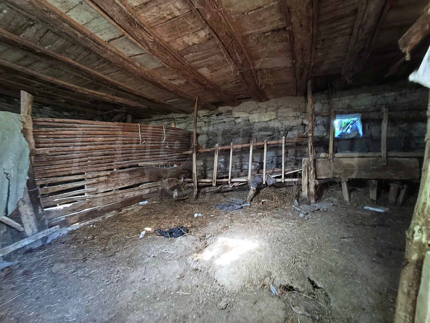 Gallery Picture 45