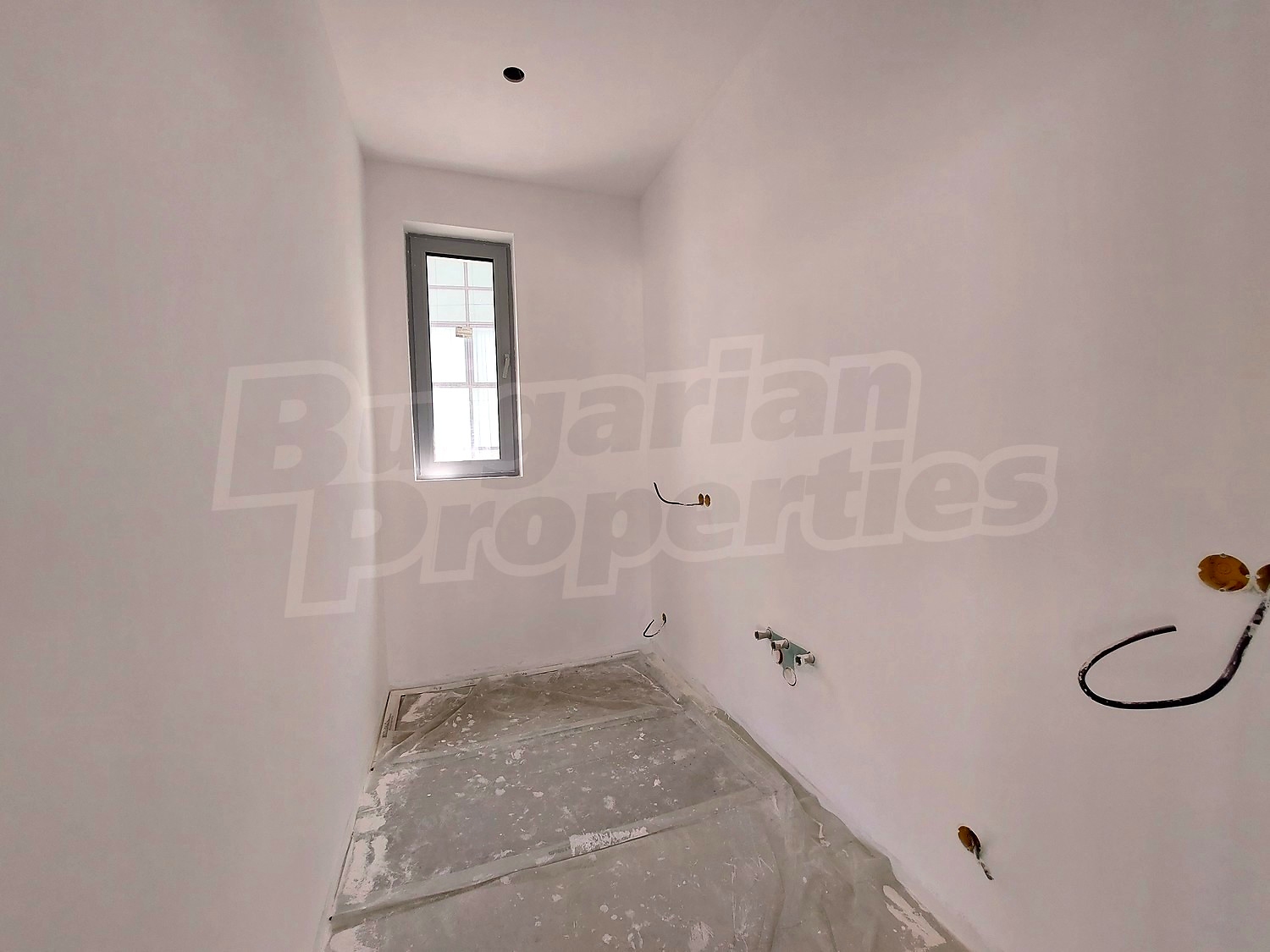 Gallery Picture 8