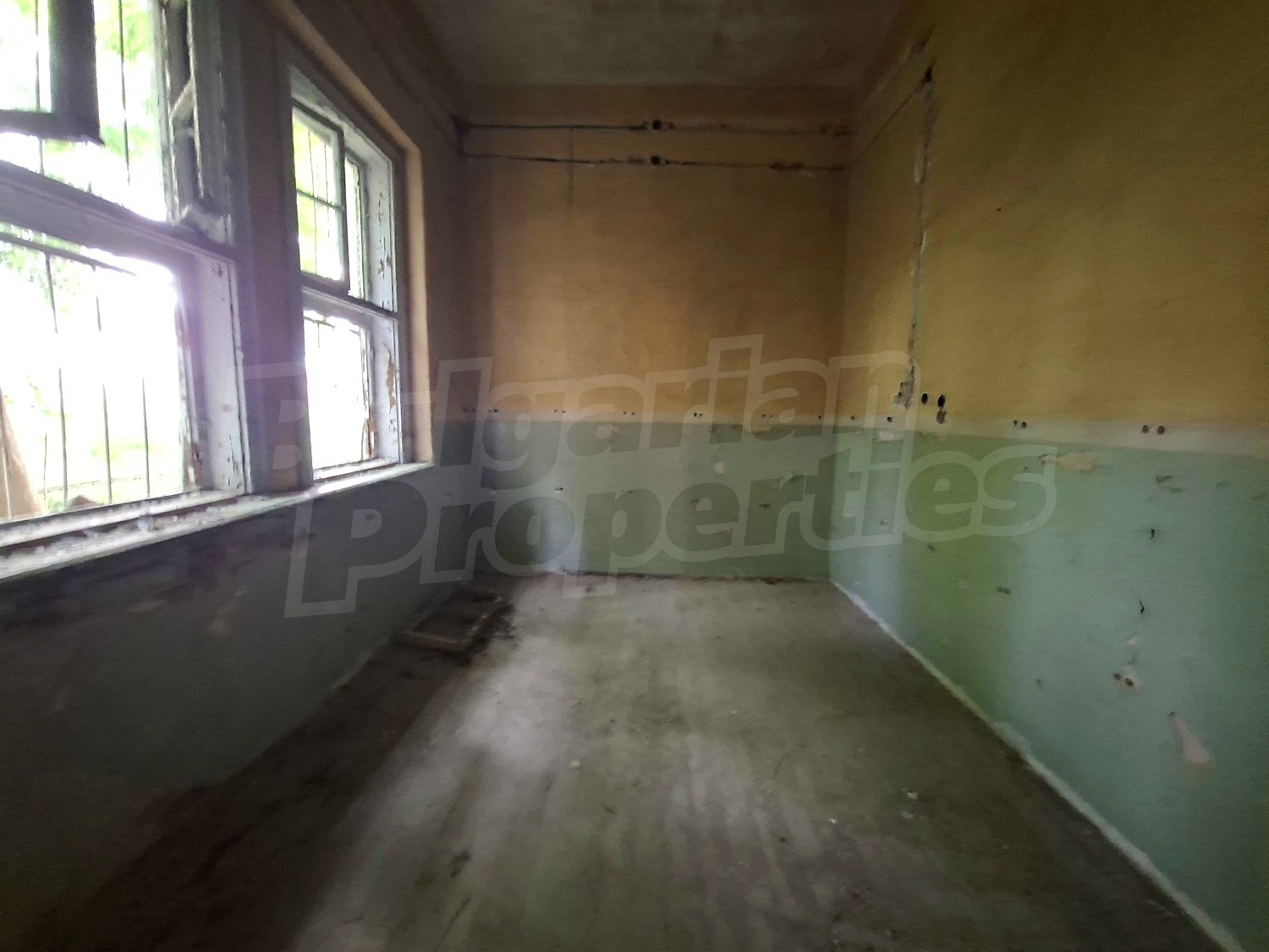 Gallery Picture 7