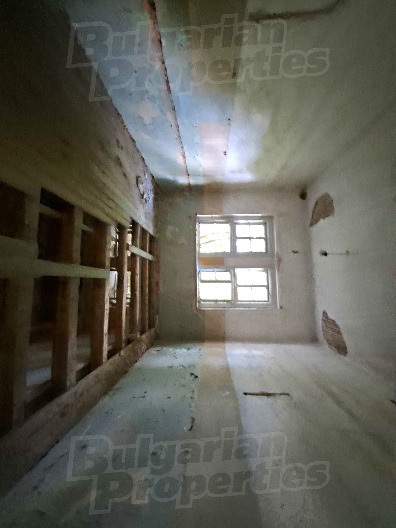 Gallery Picture 10