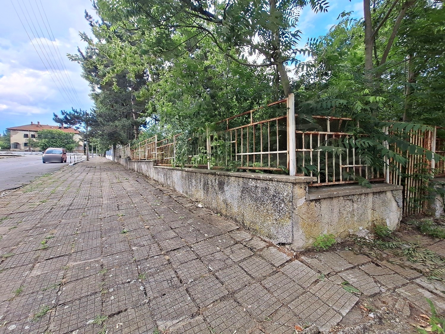 Gallery Picture 5