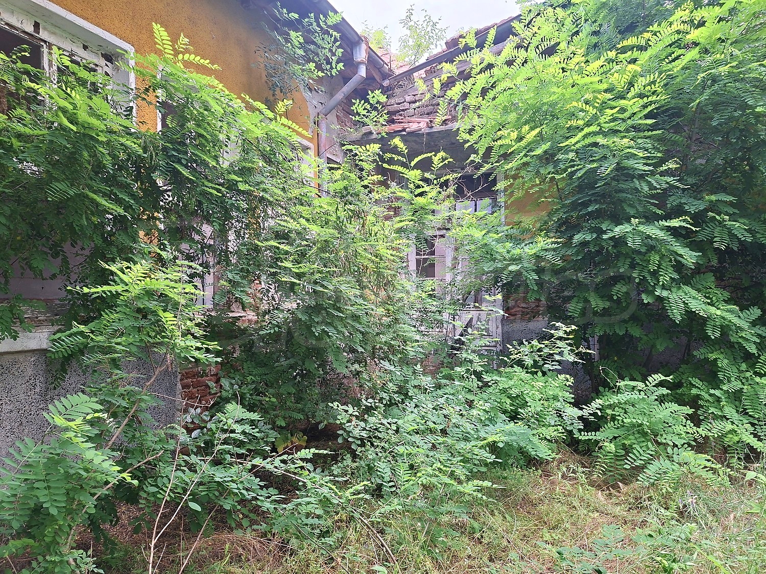 Gallery Picture 6
