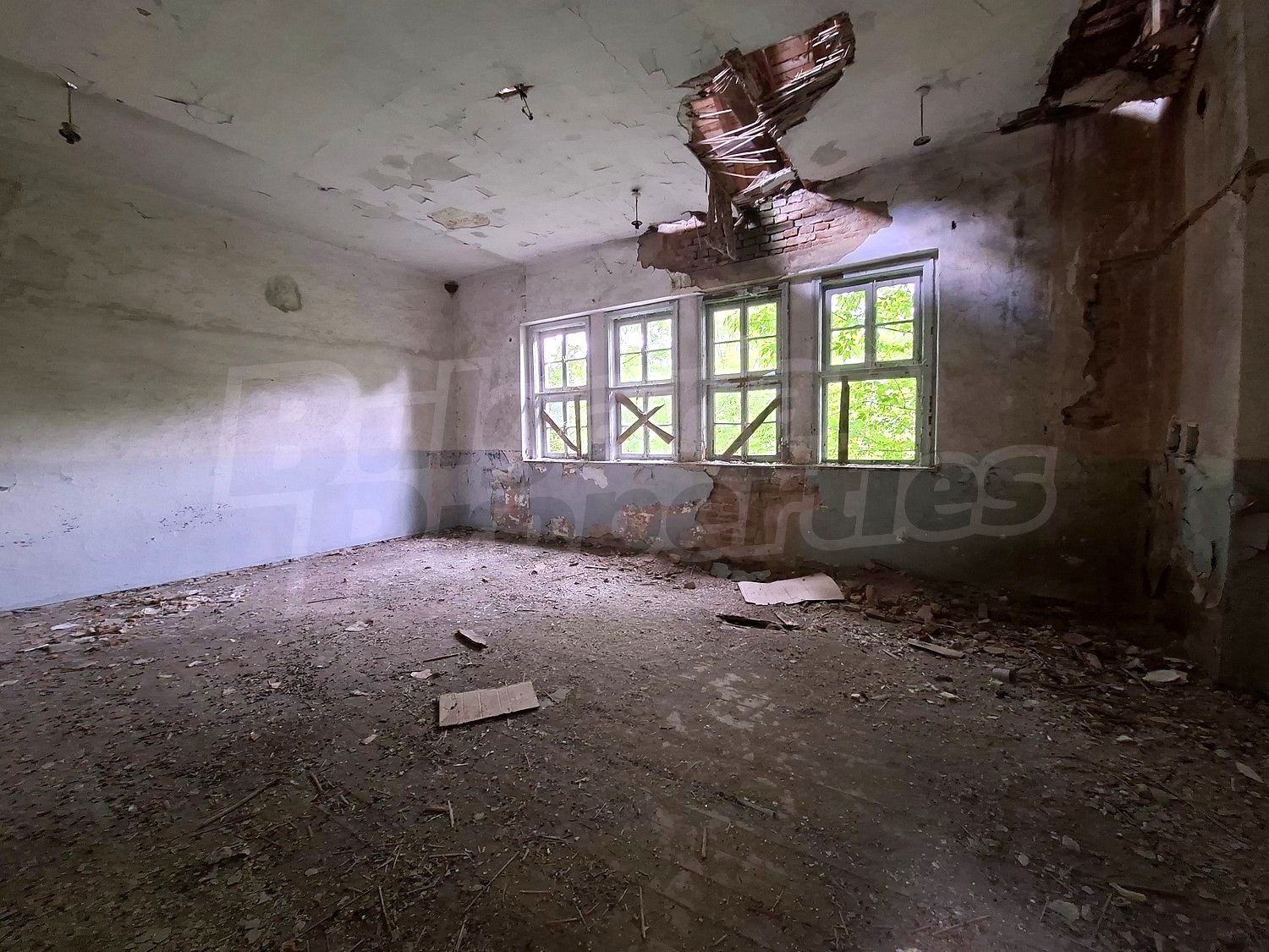 Gallery Picture 16