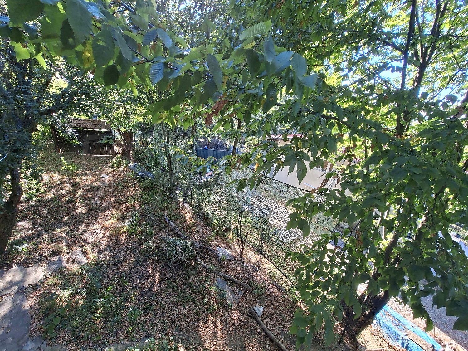 Gallery Picture 33