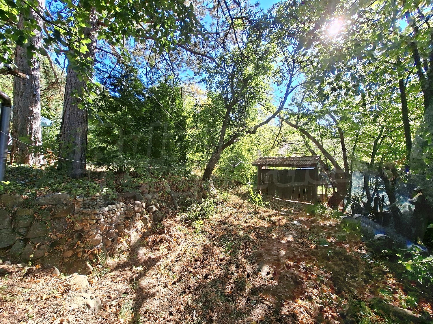 Gallery Picture 34