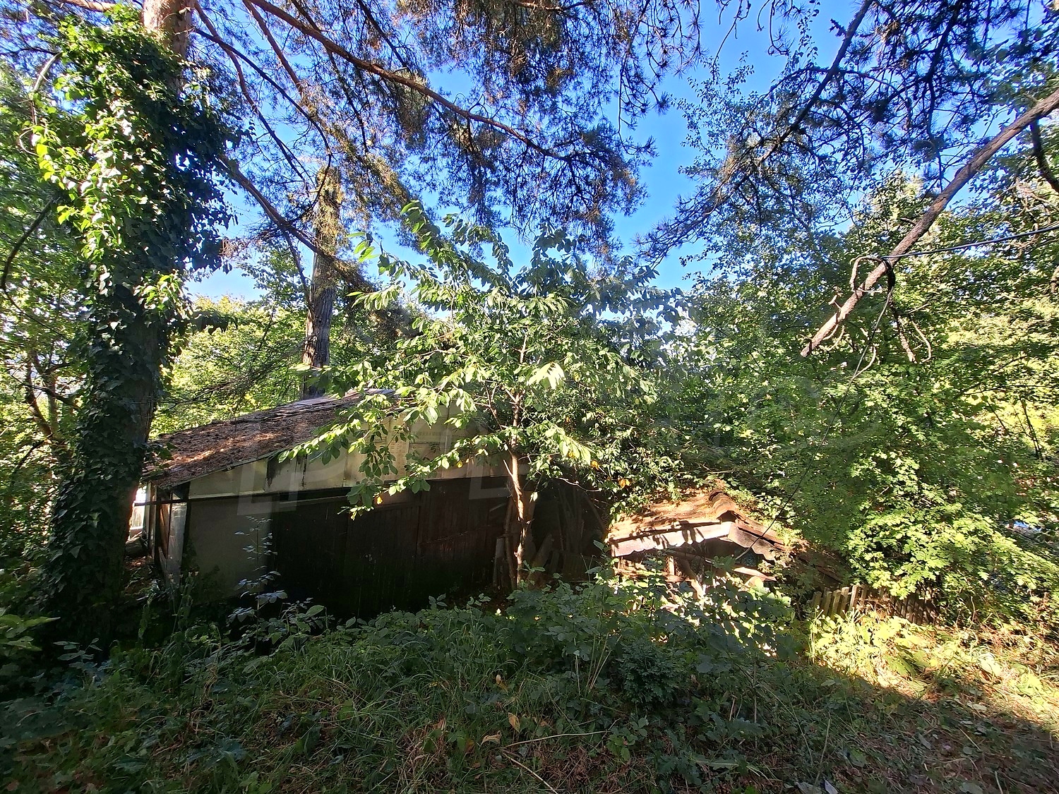 Gallery Picture 35