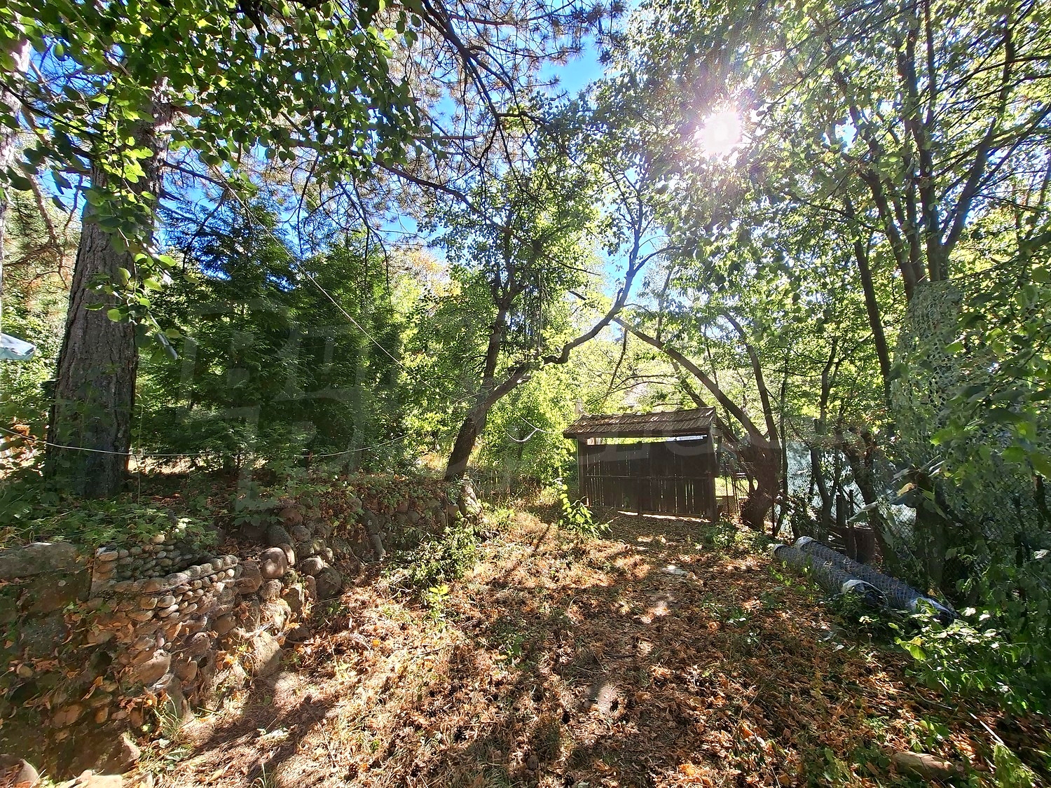 Gallery Picture 37