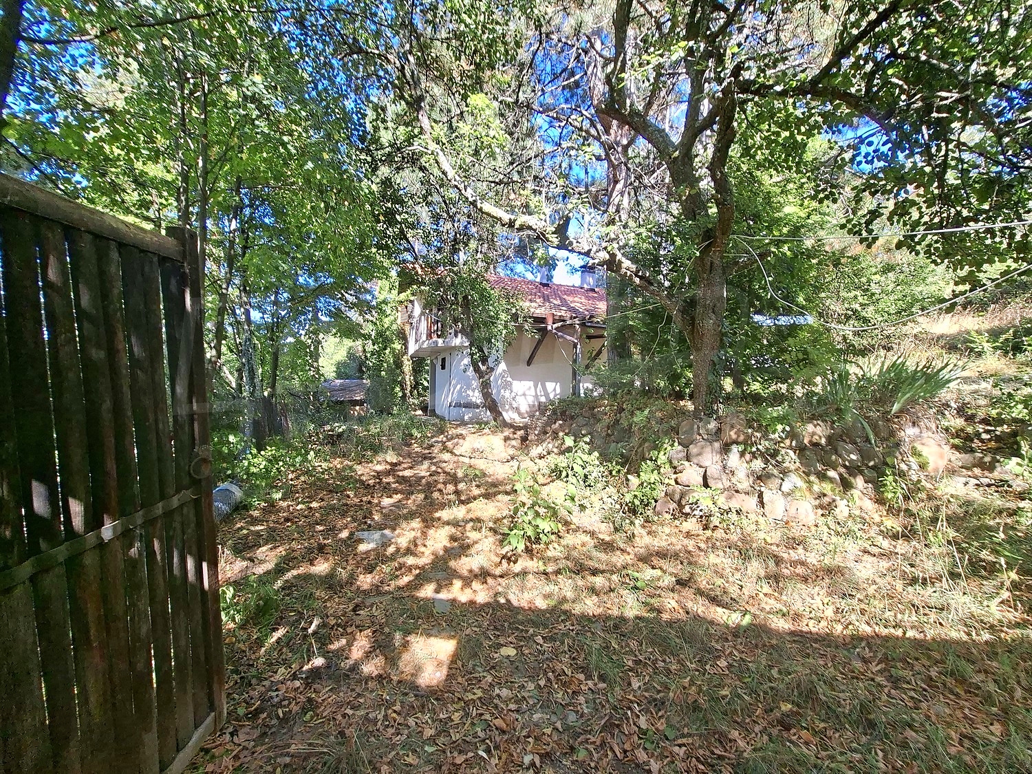 Gallery Picture 28