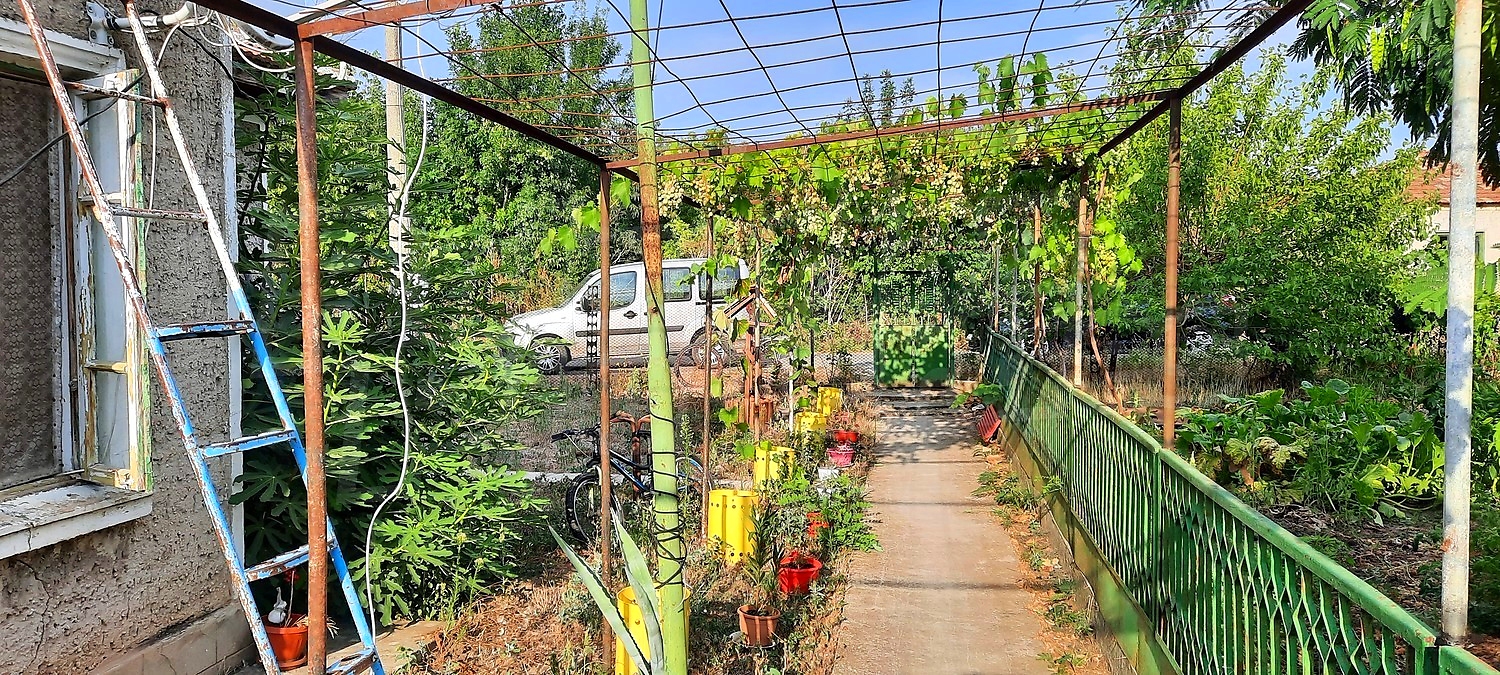 Gallery Picture 6