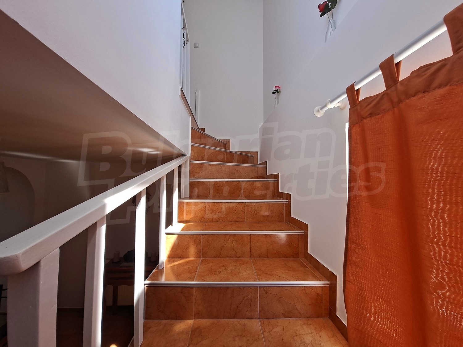 Gallery Picture 19