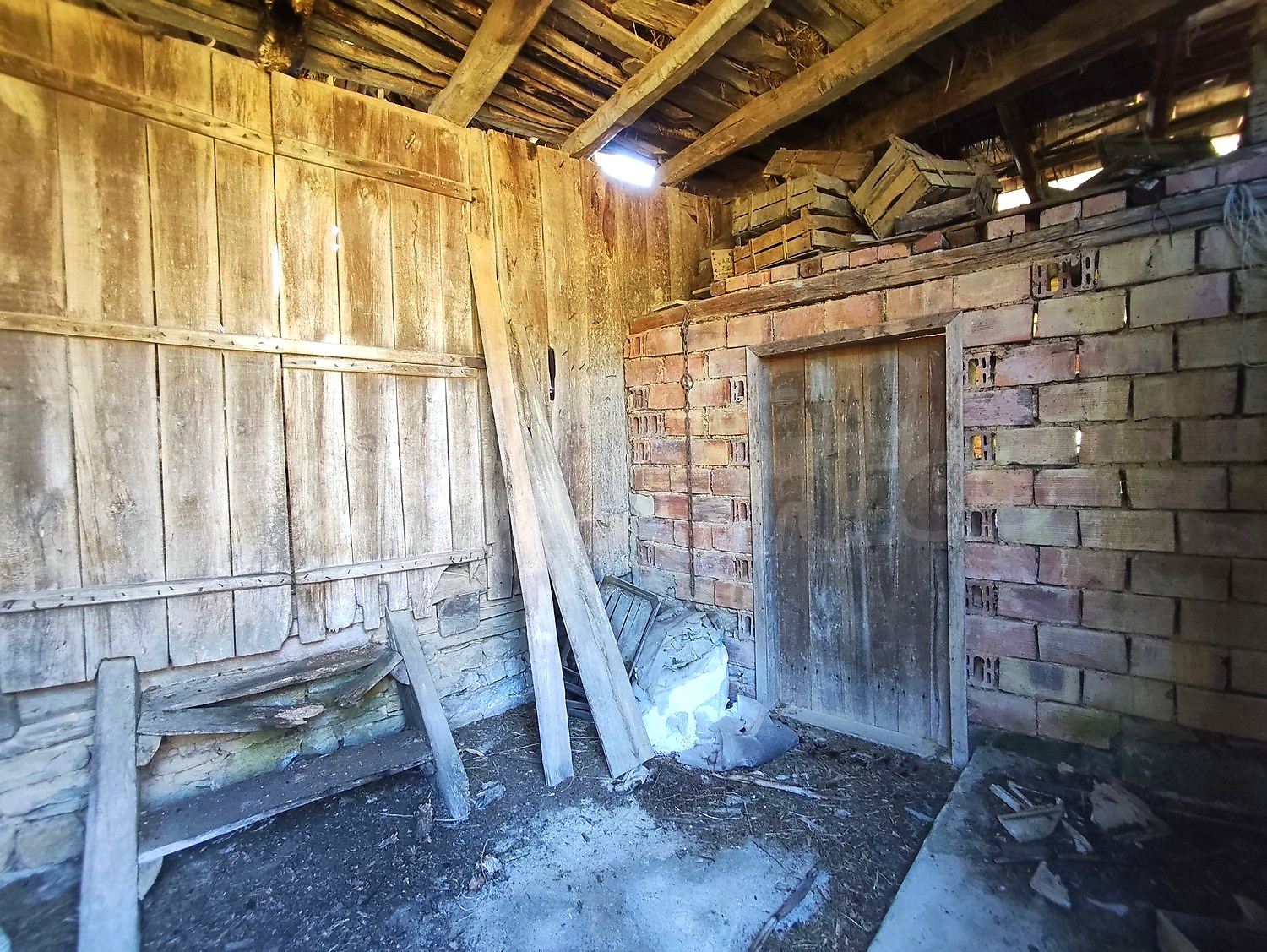 Gallery Picture 51