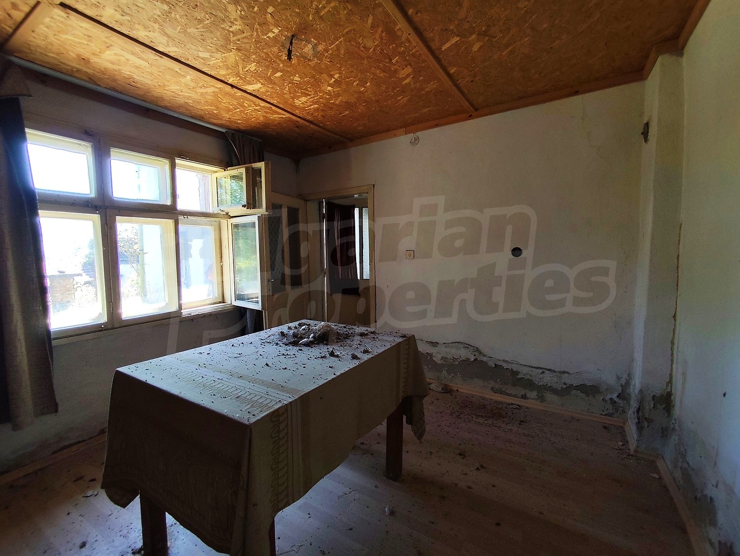 Gallery Picture 23