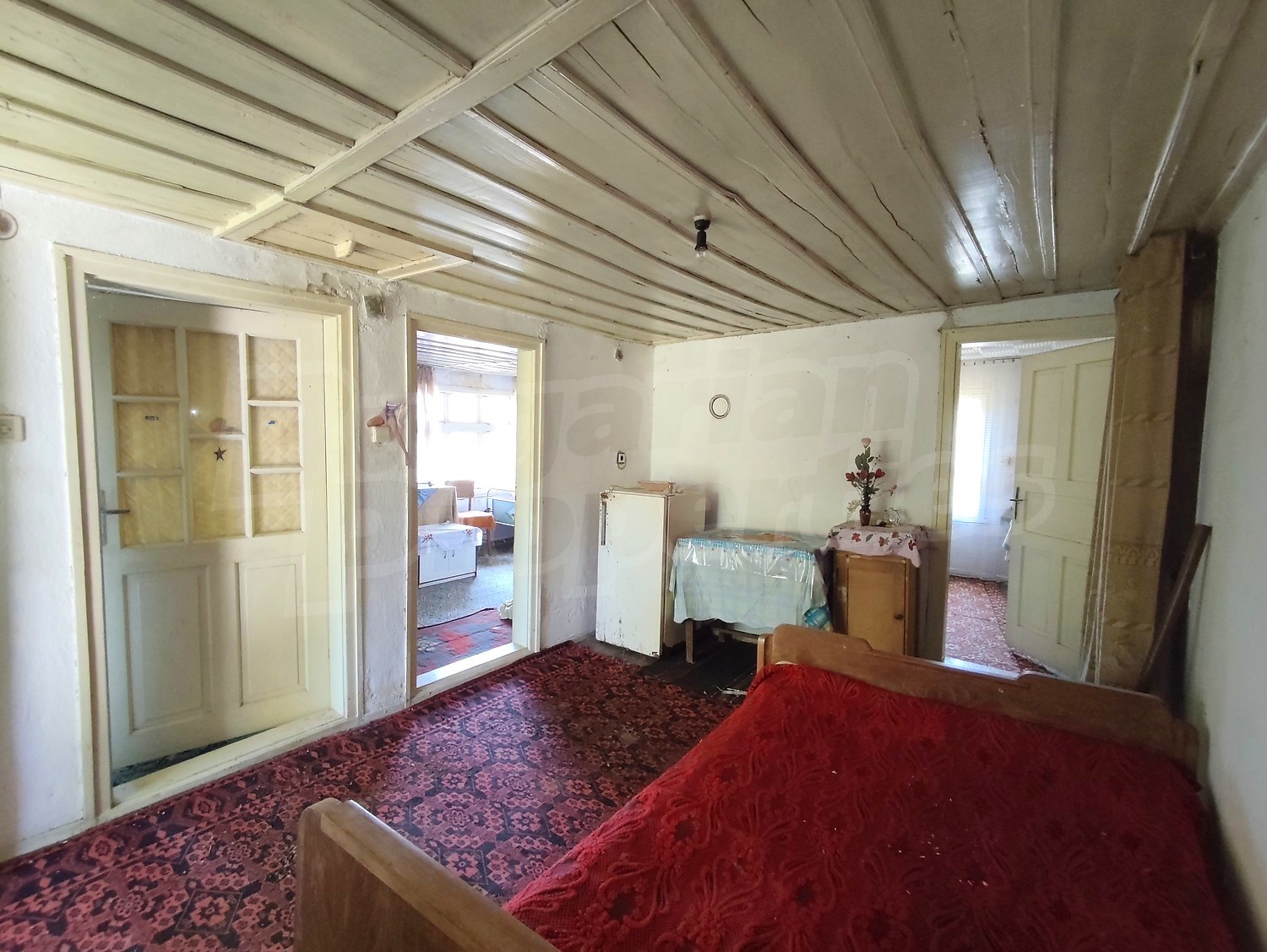 Gallery Picture 29