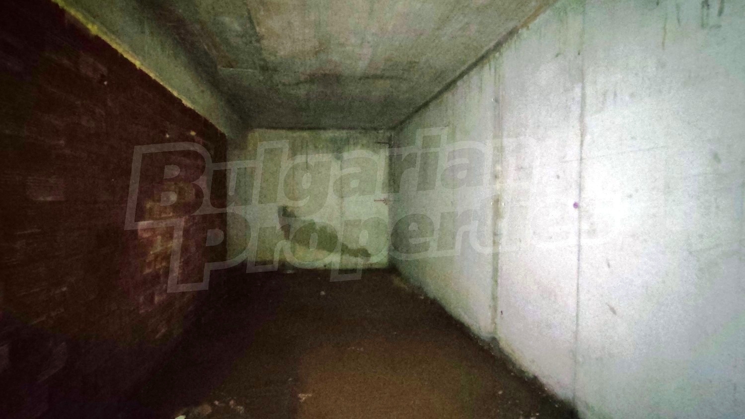 Gallery Picture 15