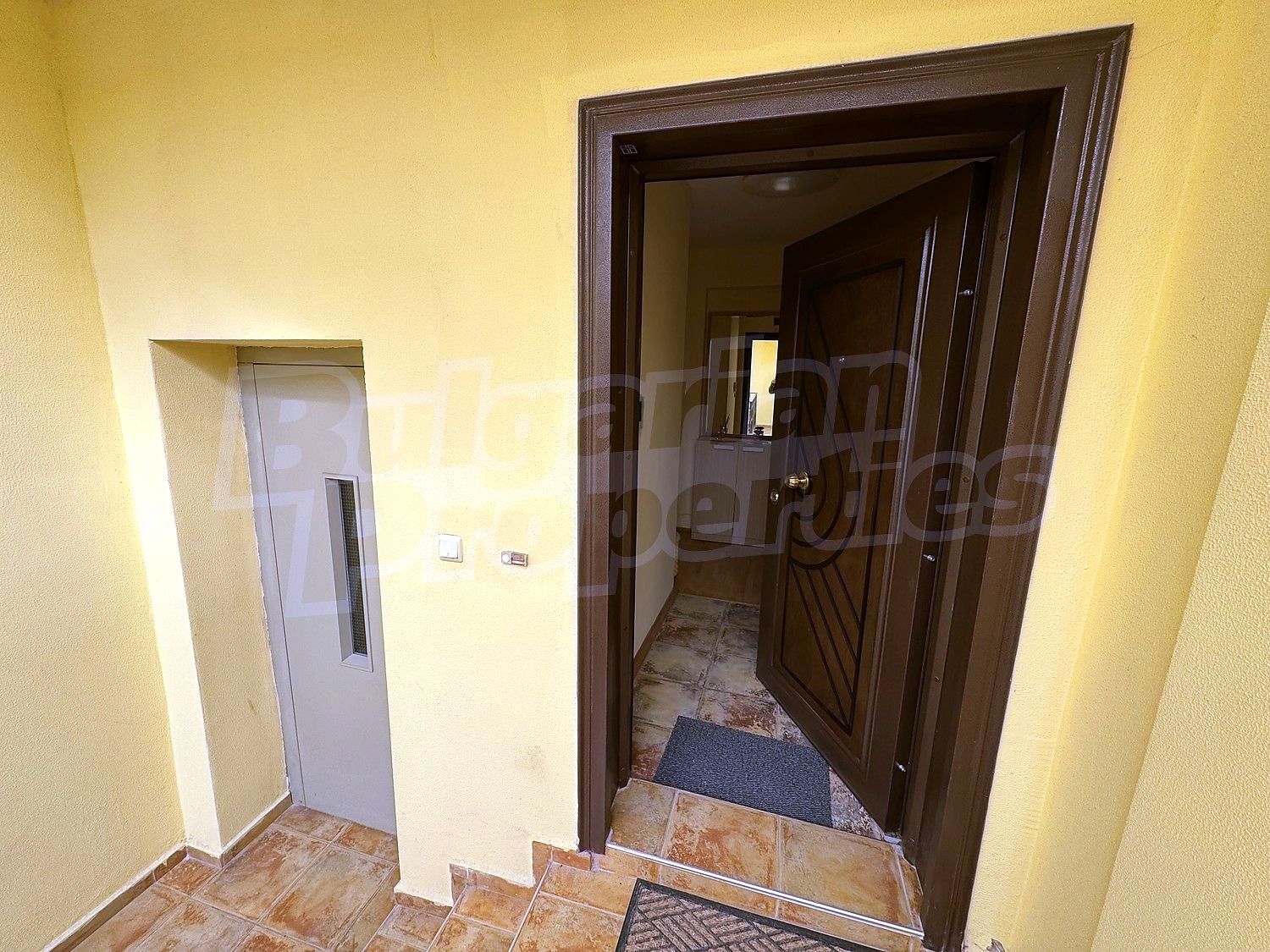 Gallery Picture 49