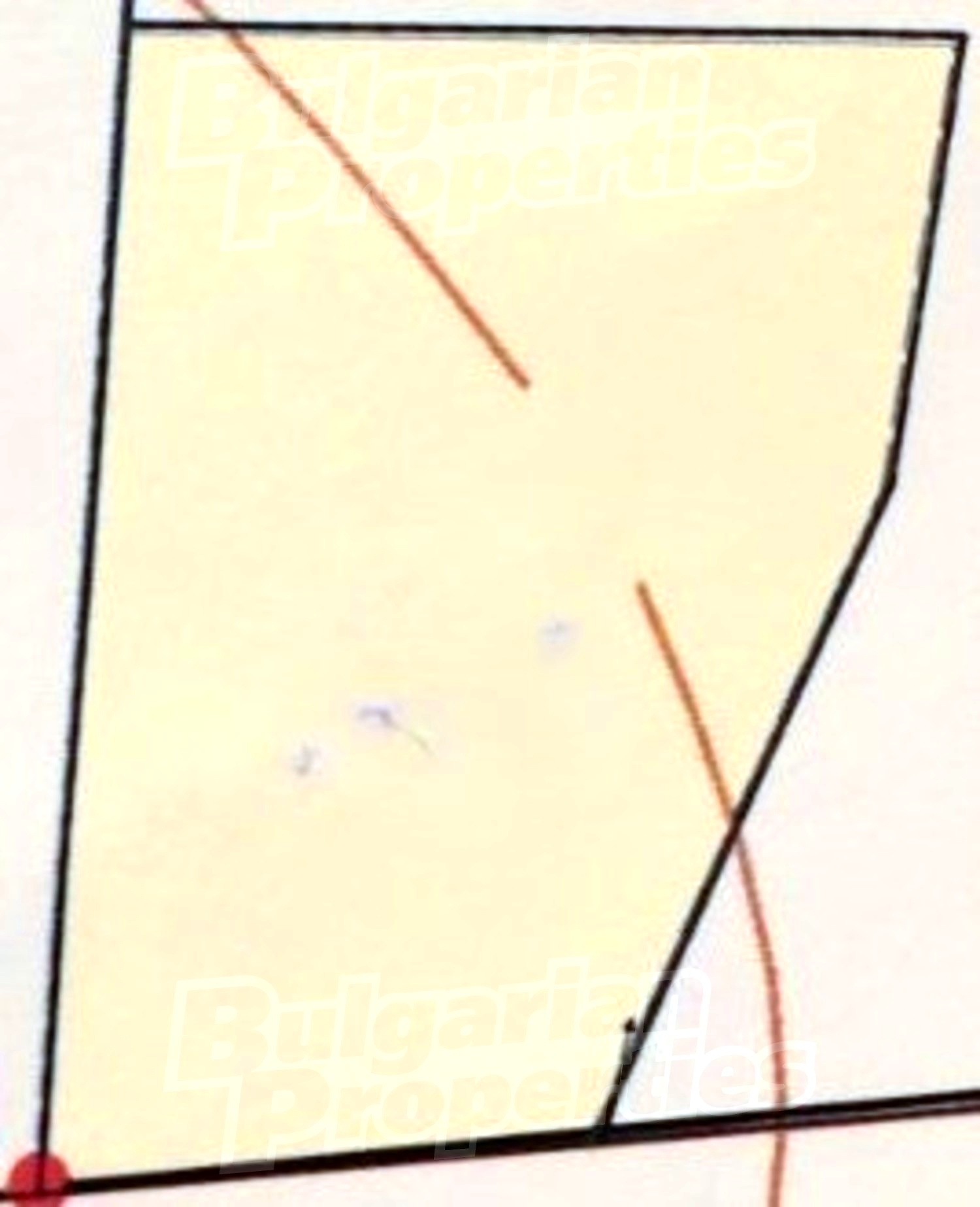 Gallery Picture 6