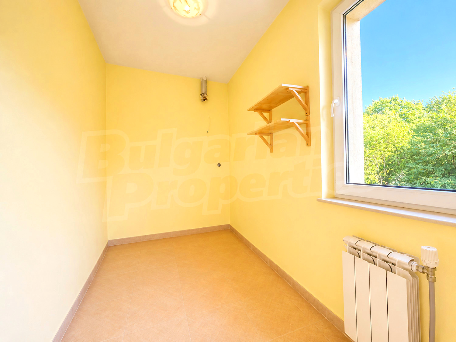 Gallery Picture 38