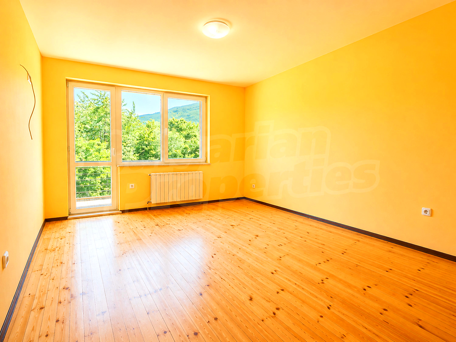 Gallery Picture 33