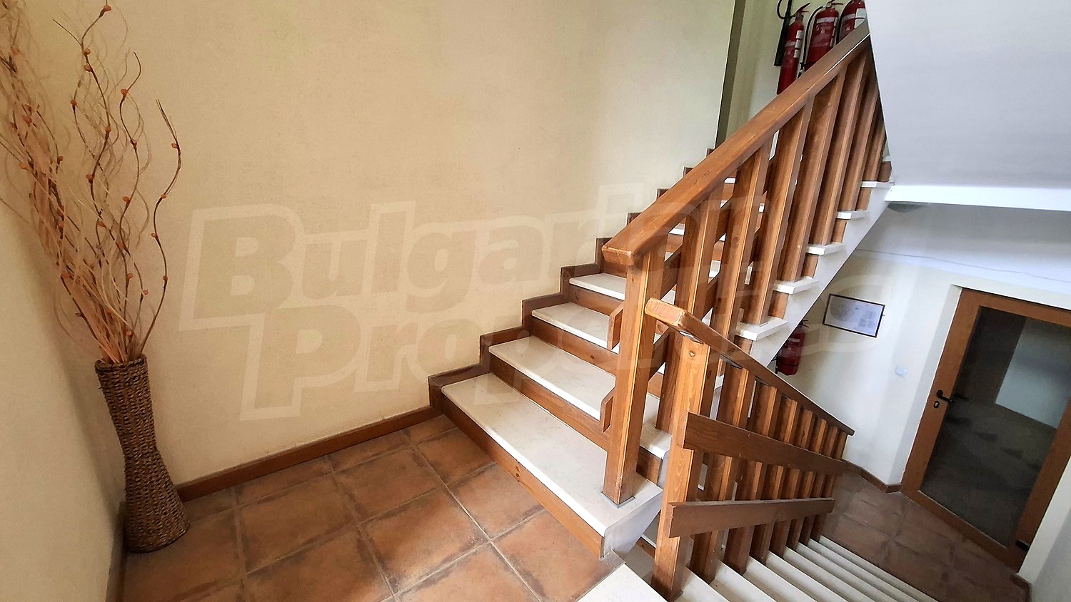 Gallery Picture 31