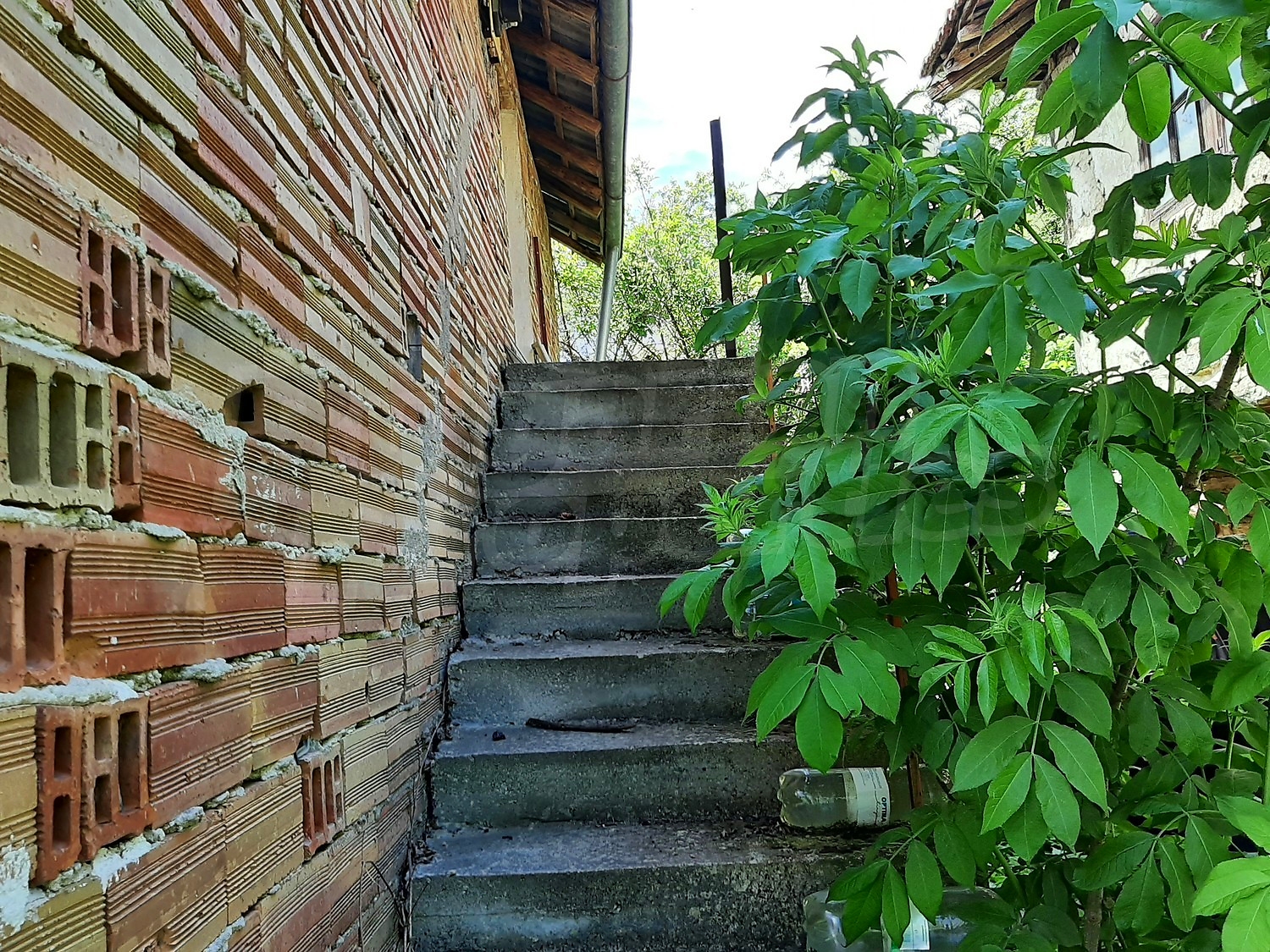 Gallery Picture 15