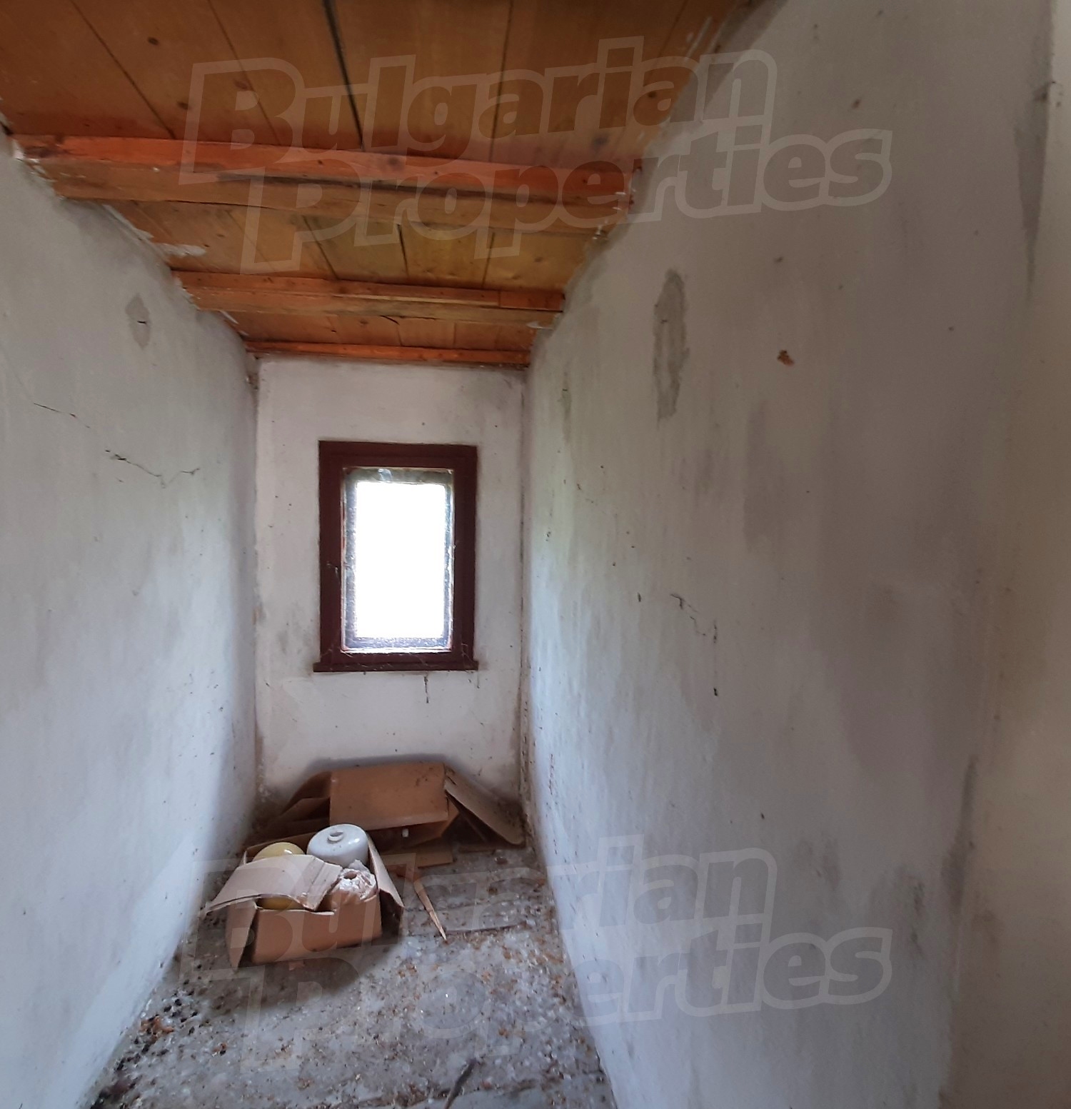 Gallery Picture 8