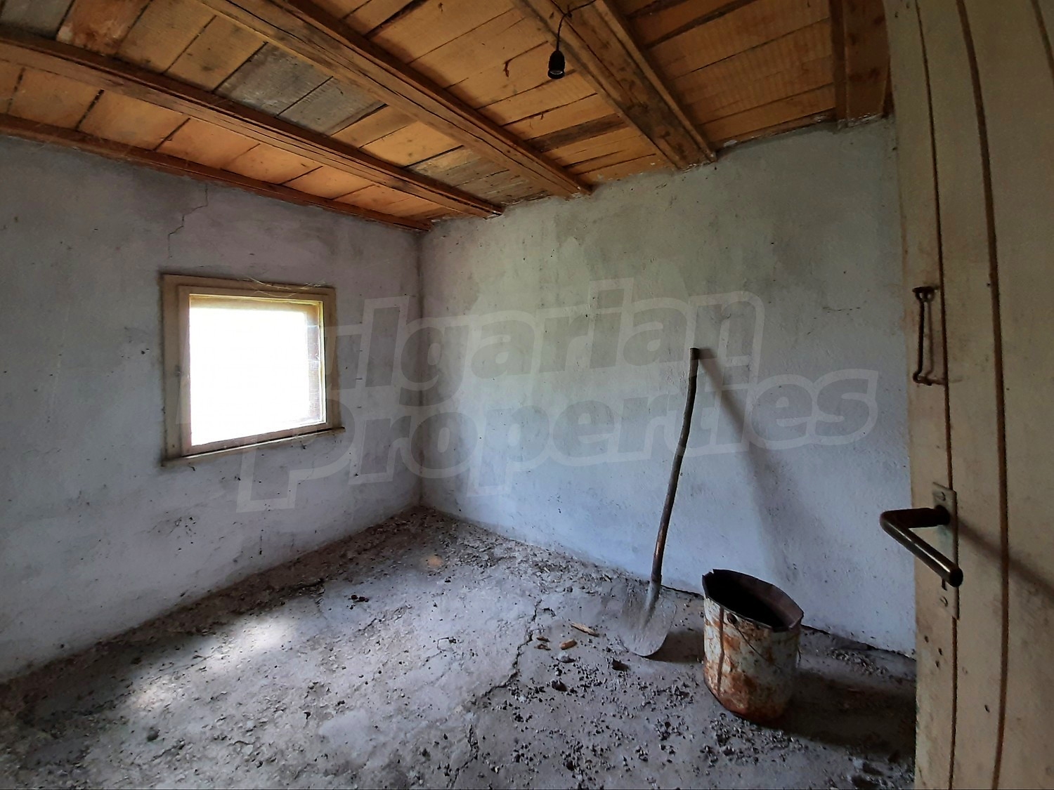 Gallery Picture 13