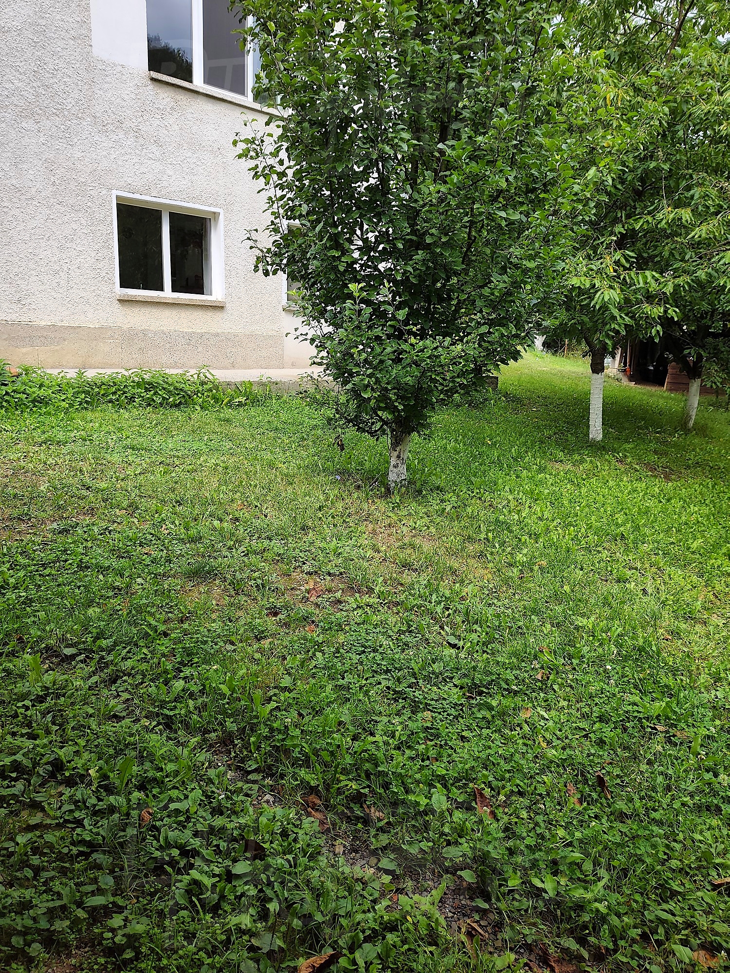 Gallery Picture 15