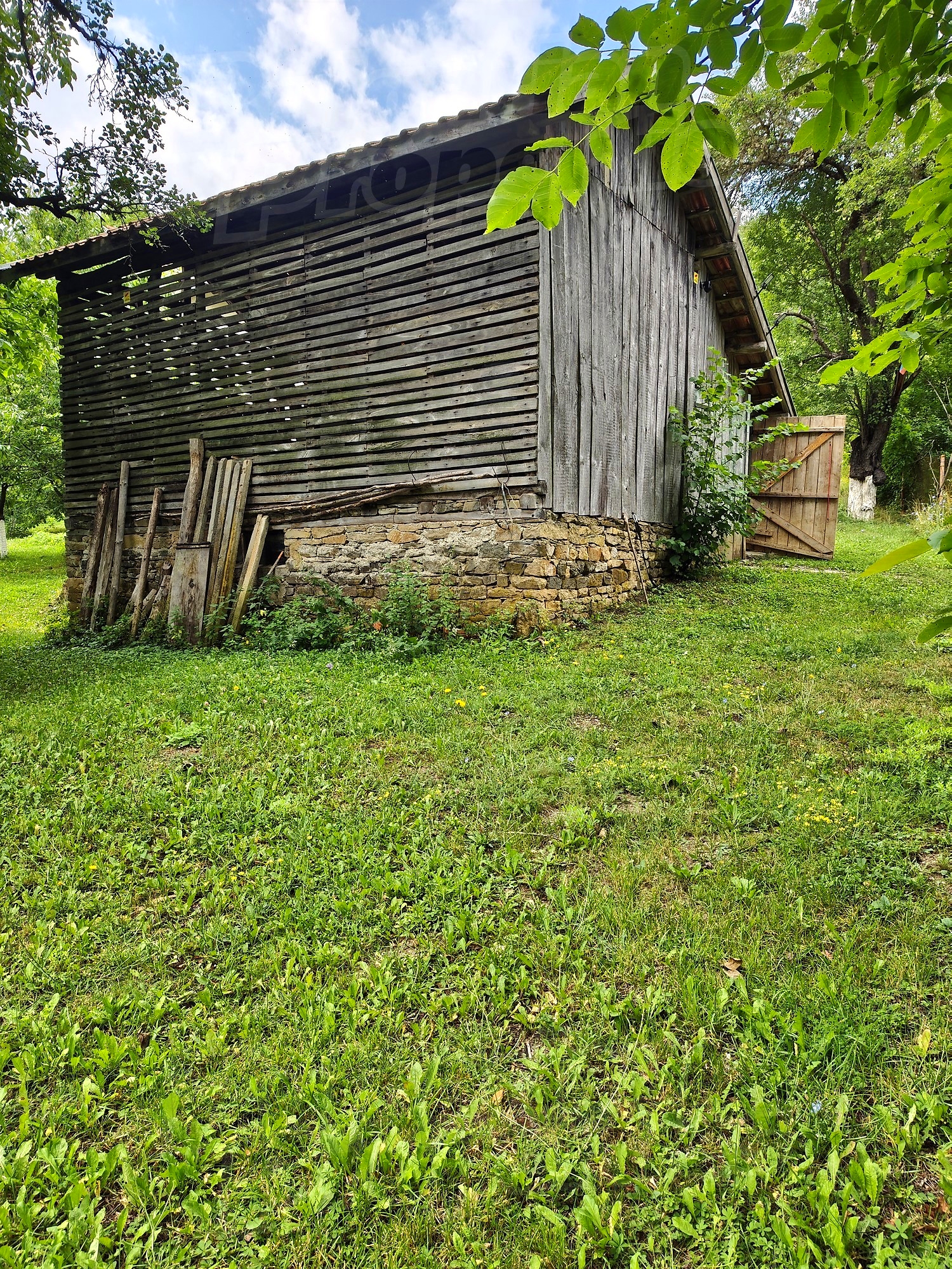 Gallery Picture 46
