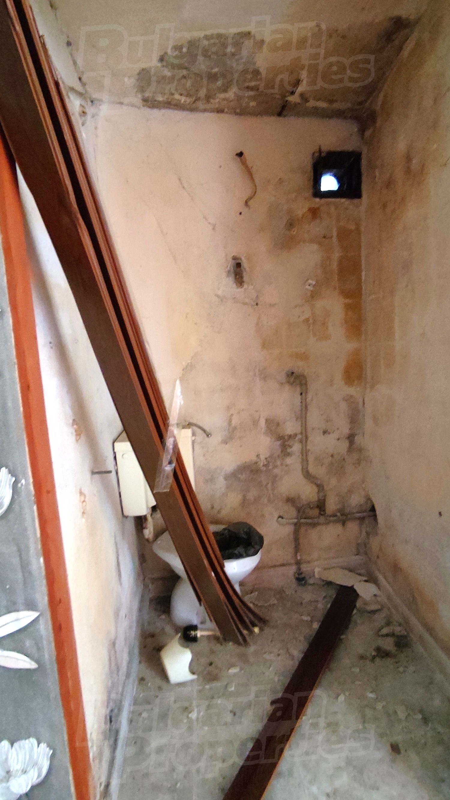 Gallery Picture 8