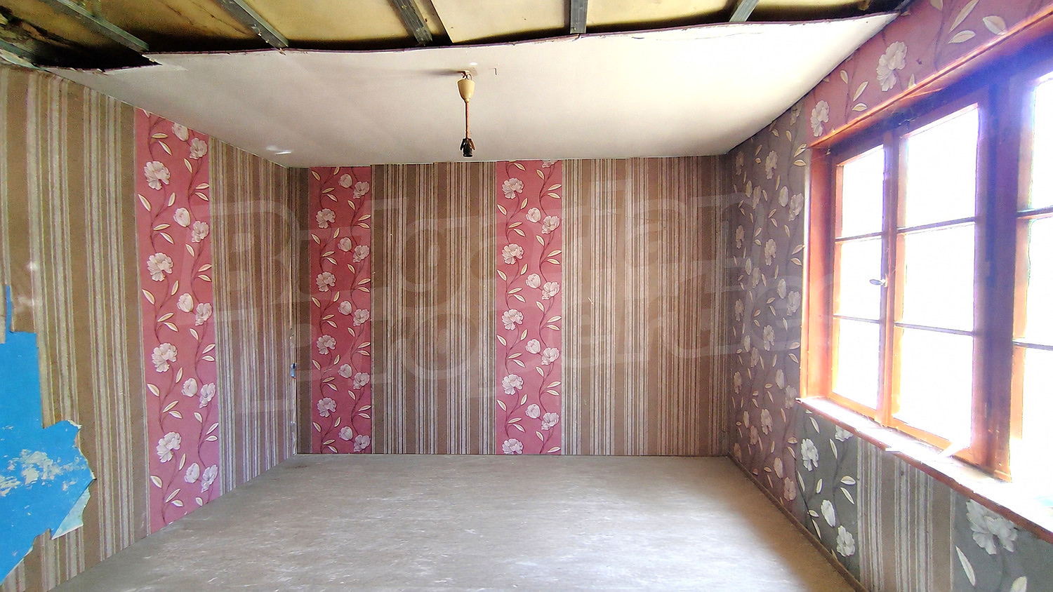 Gallery Picture 6
