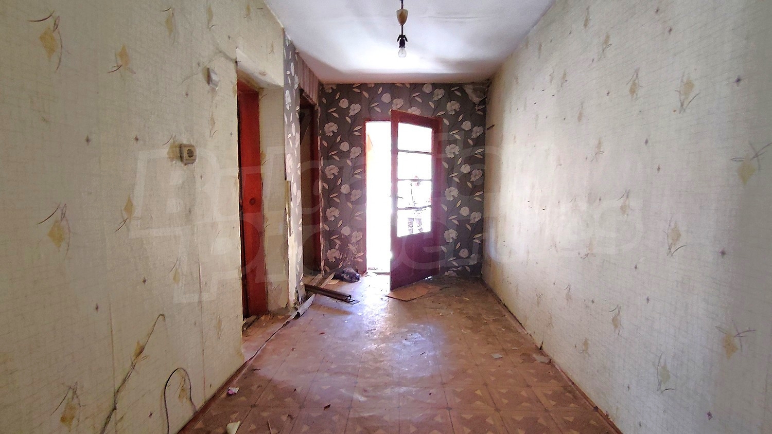 Gallery Picture 7