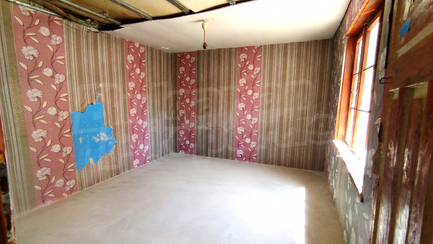Gallery Picture 5