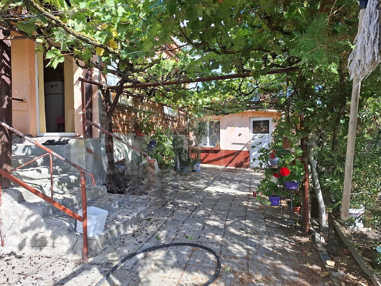 Gallery Picture 18
