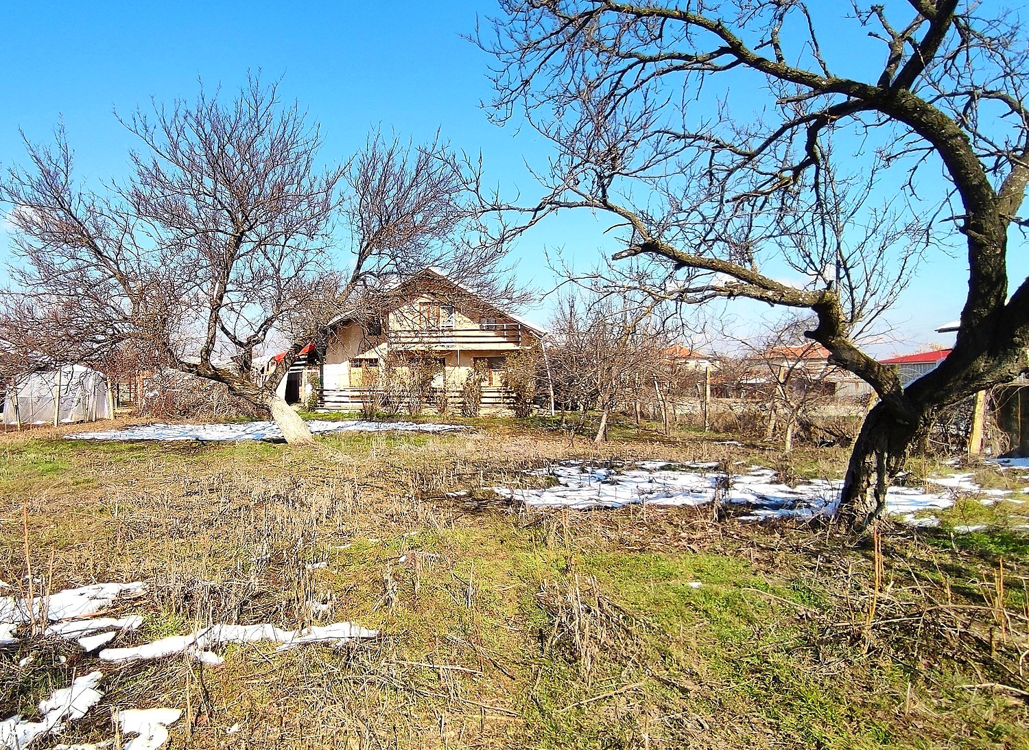 outside, garden