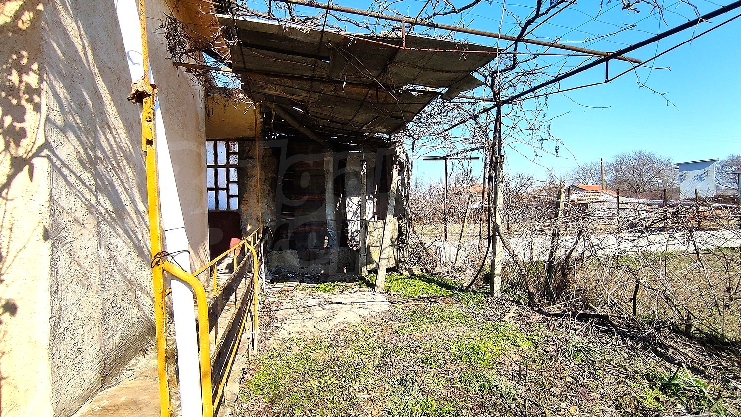 outside, garden