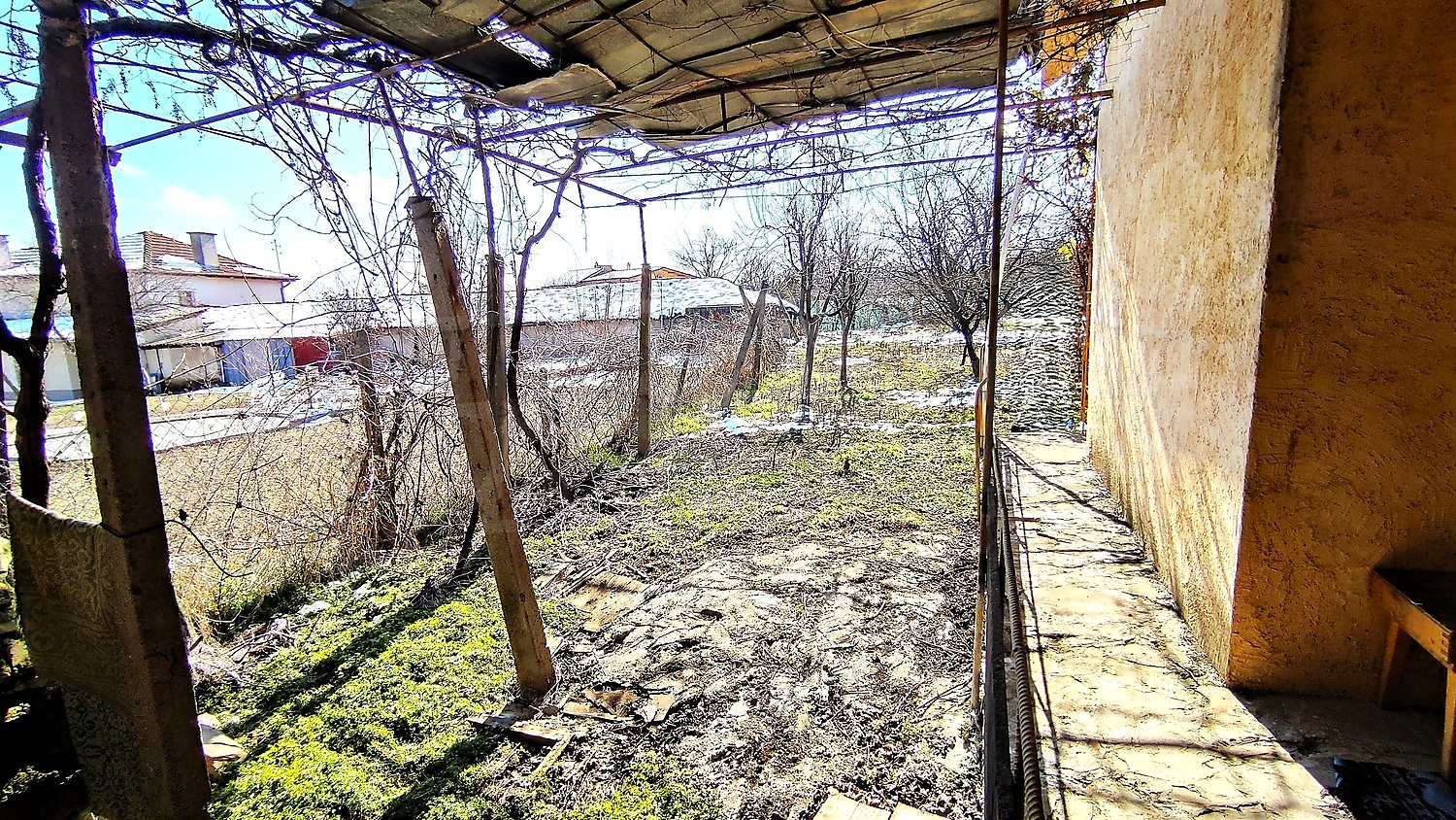 outside, garden