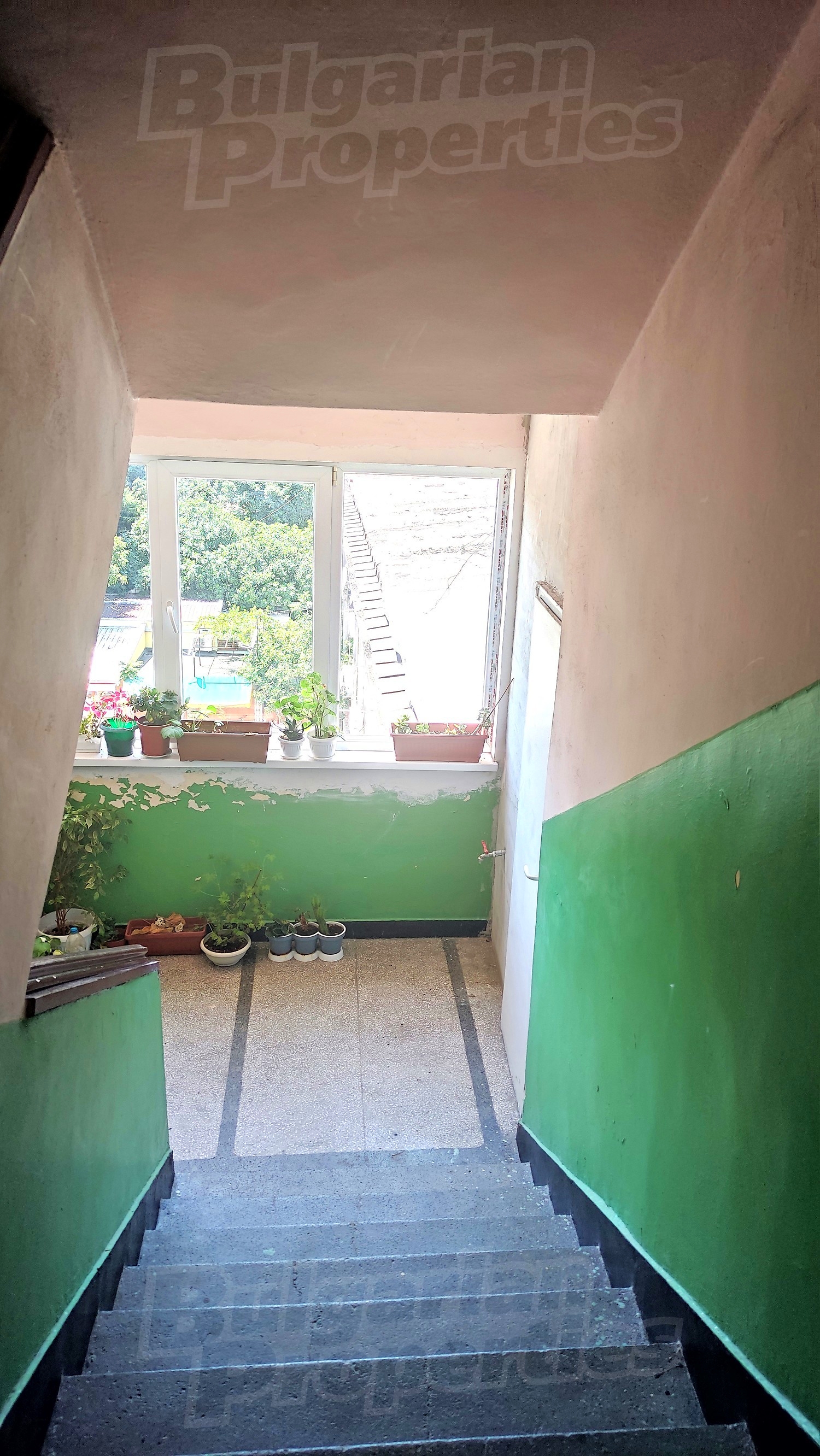 Gallery Picture 23