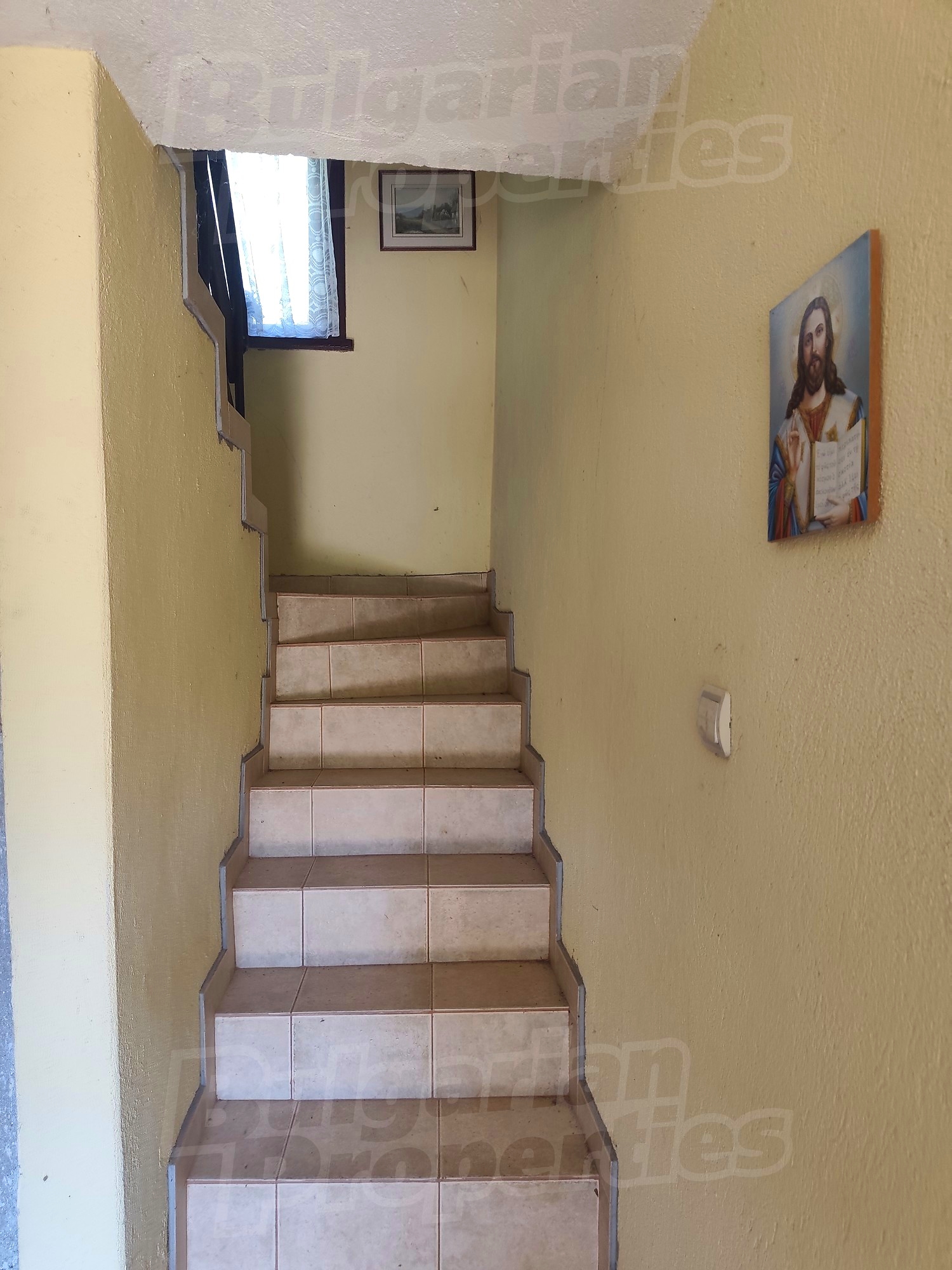 Gallery Picture 28
