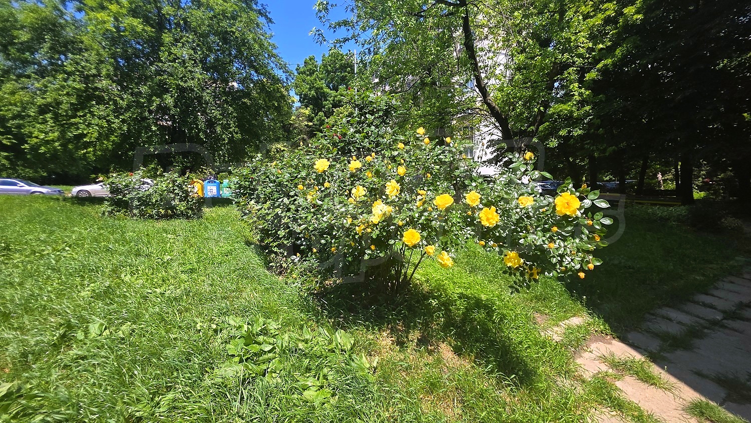 Gallery Picture 17